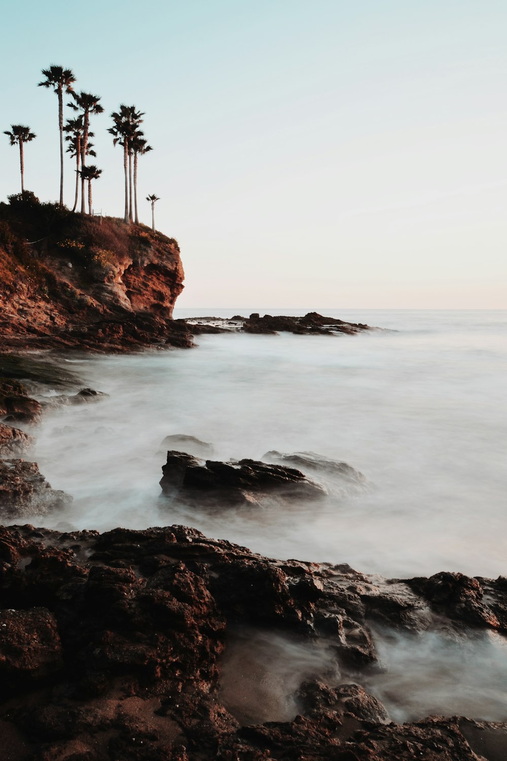 a rocky beach with palm trees