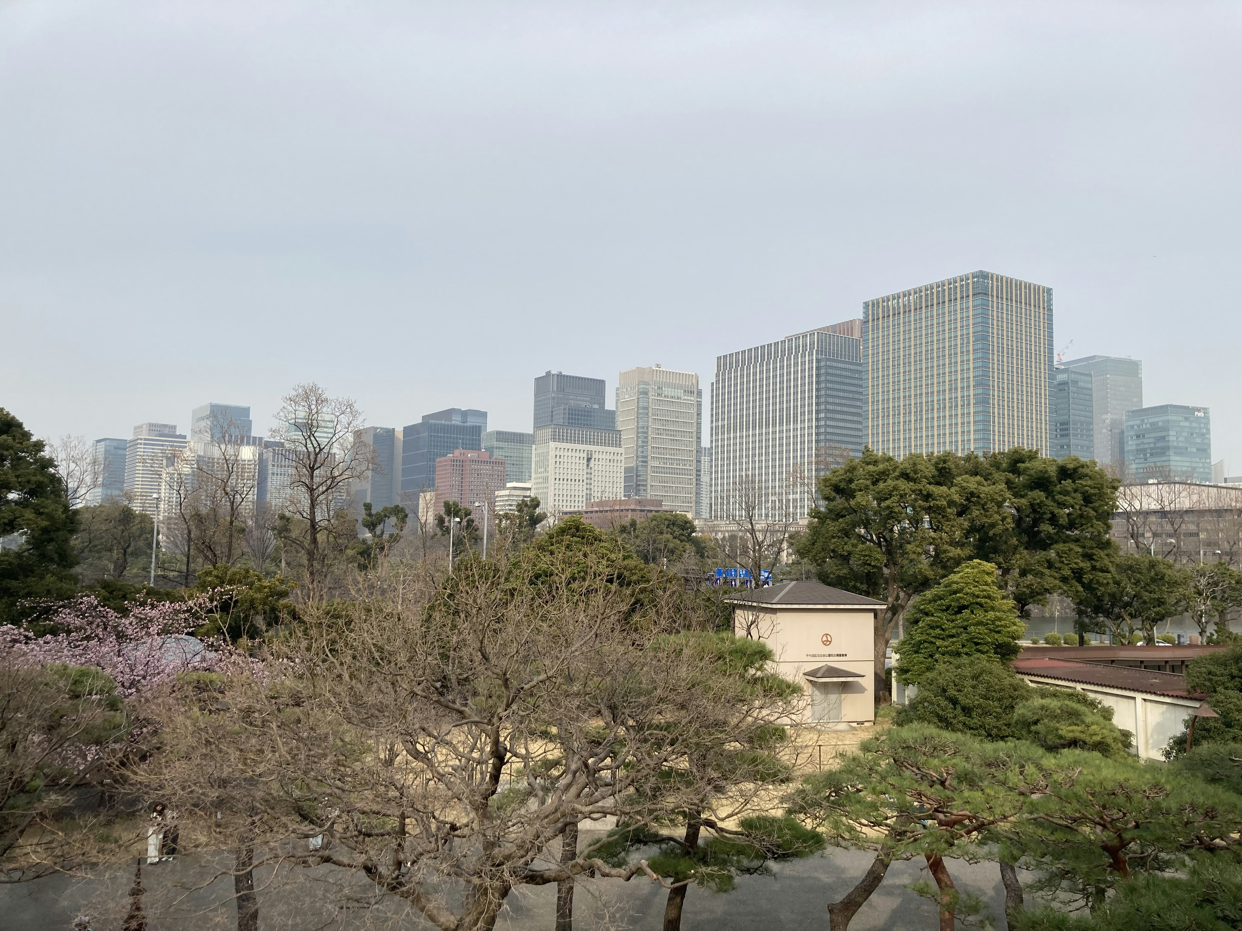 Tokyo rooftop garden view