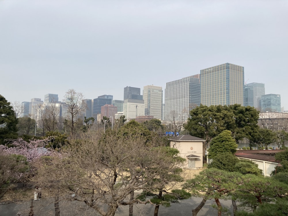 a city skyline with trees and buildings