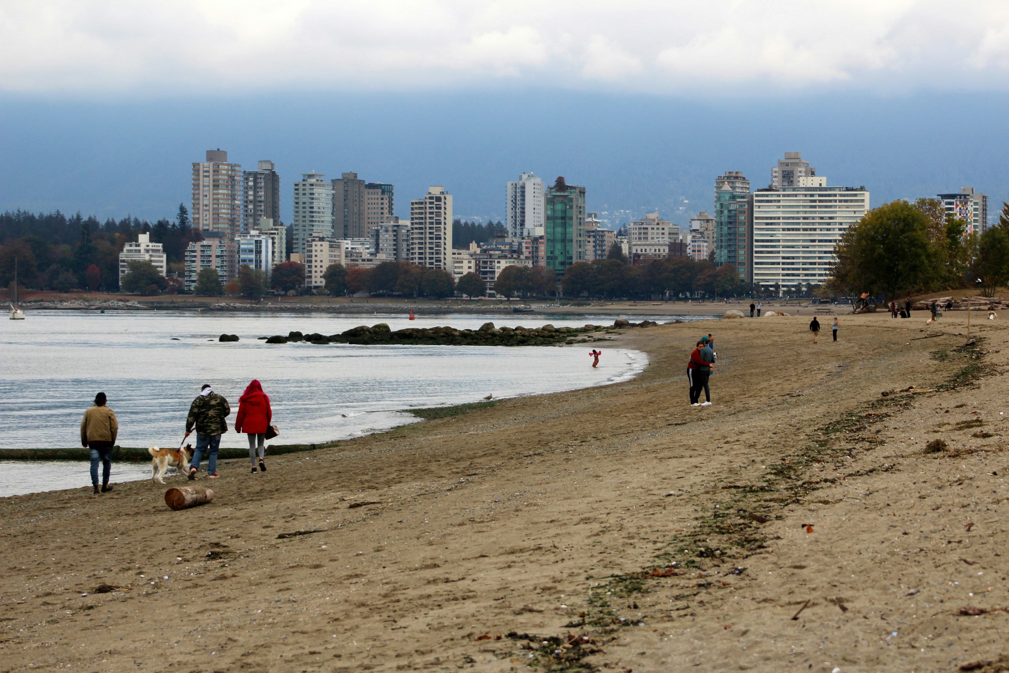 people on a beach