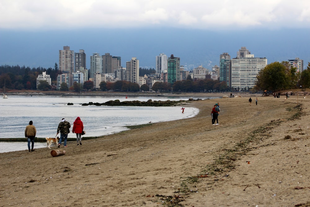 people on a beach