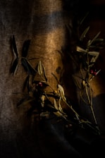 An olive and gunmetal color palette showcasing disciplined contrast.