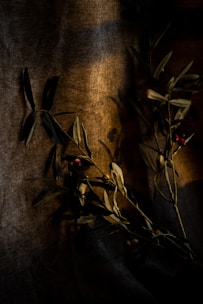 An olive and gunmetal color palette showcasing disciplined contrast.