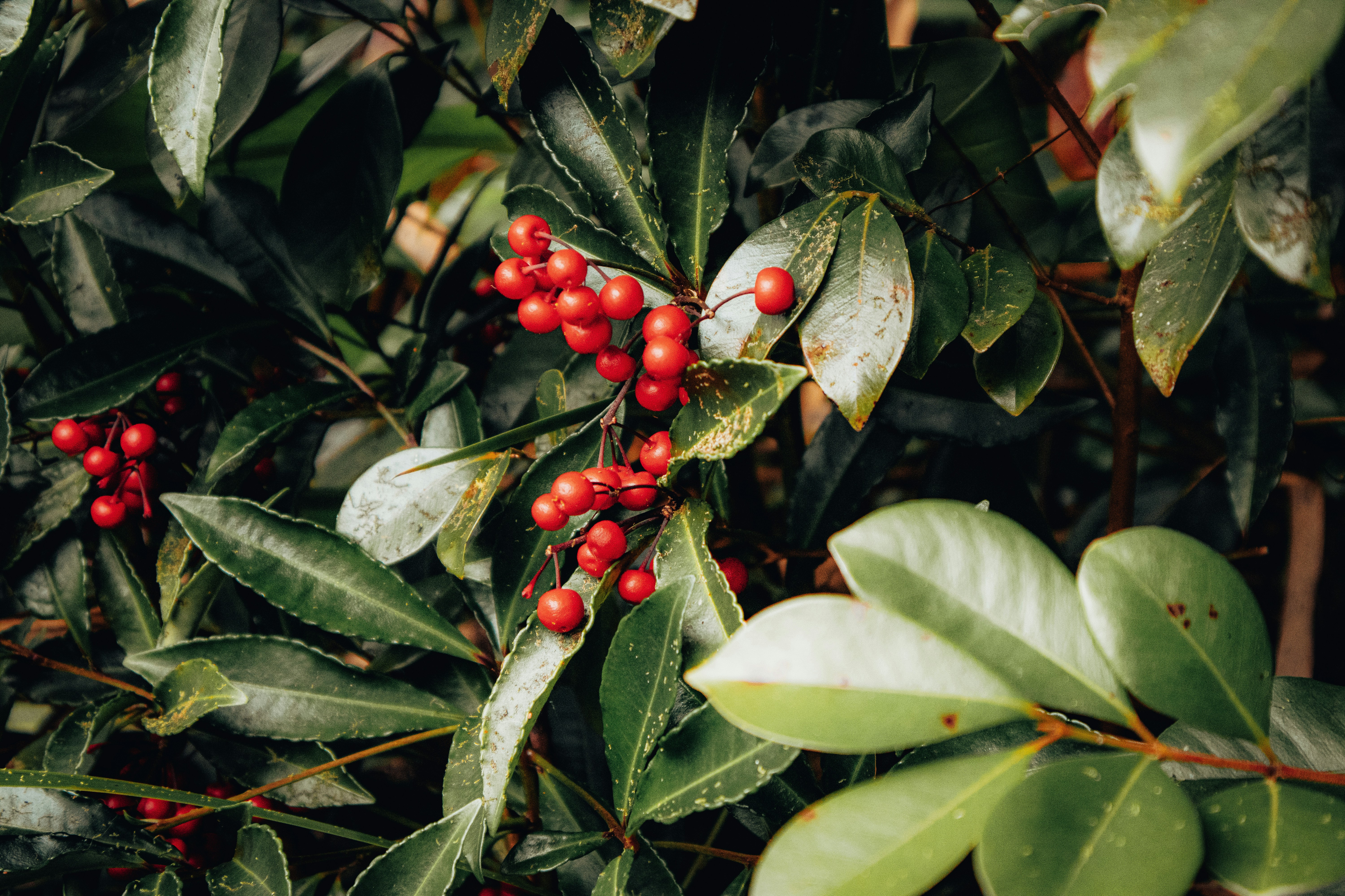 Photo by smithers131