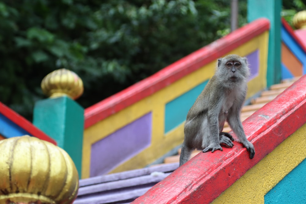 a monkey sitting on a playground slide