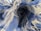 A close-up view of an intertwined fabric with a checkered pattern. The focus is on the intricate folds and frayed edges, creating a dynamic and almost abstract appearance. The fabric features shades of blue and white, contributing to a soft and textured visual.