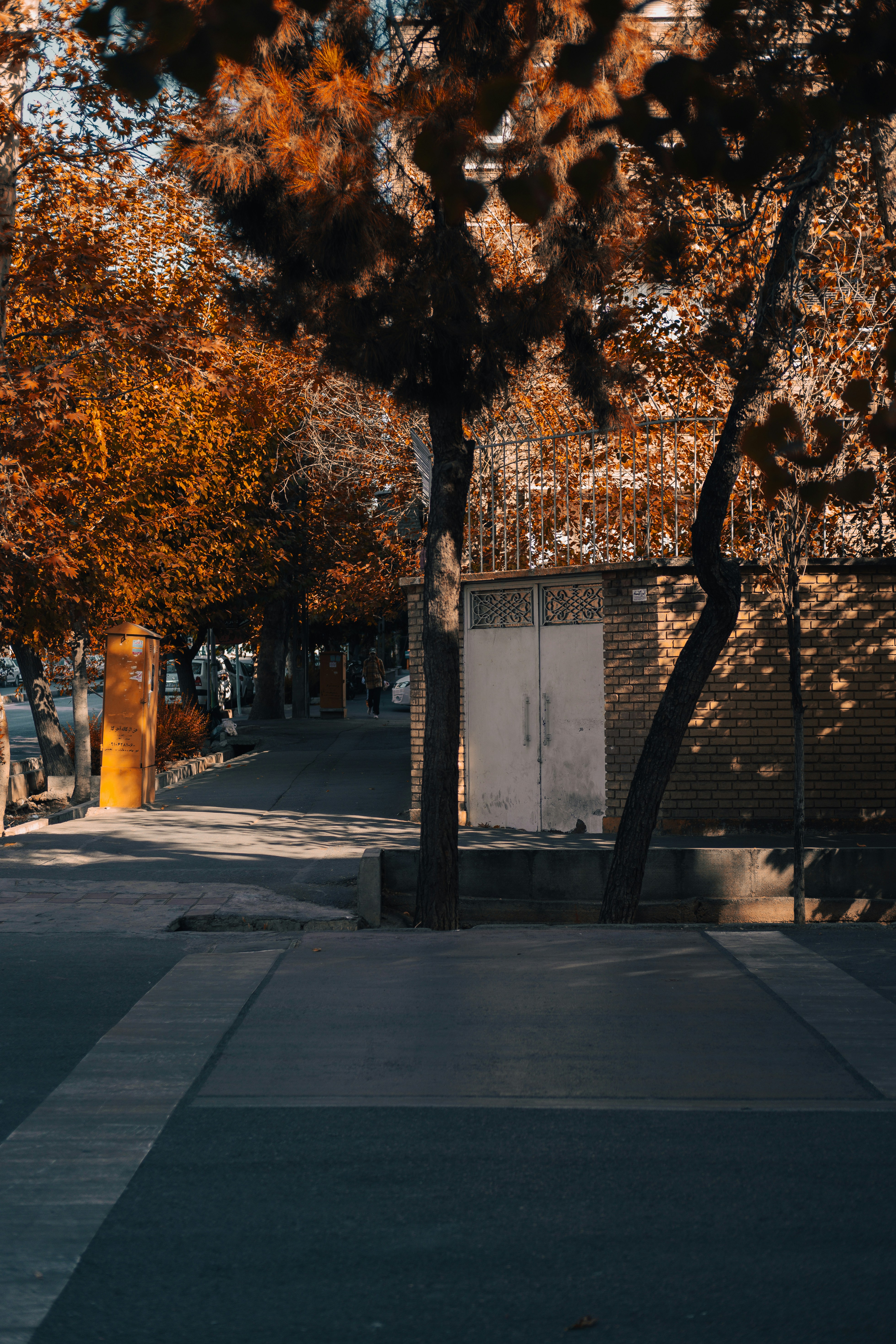 un edificio con árboles a su alrededor
