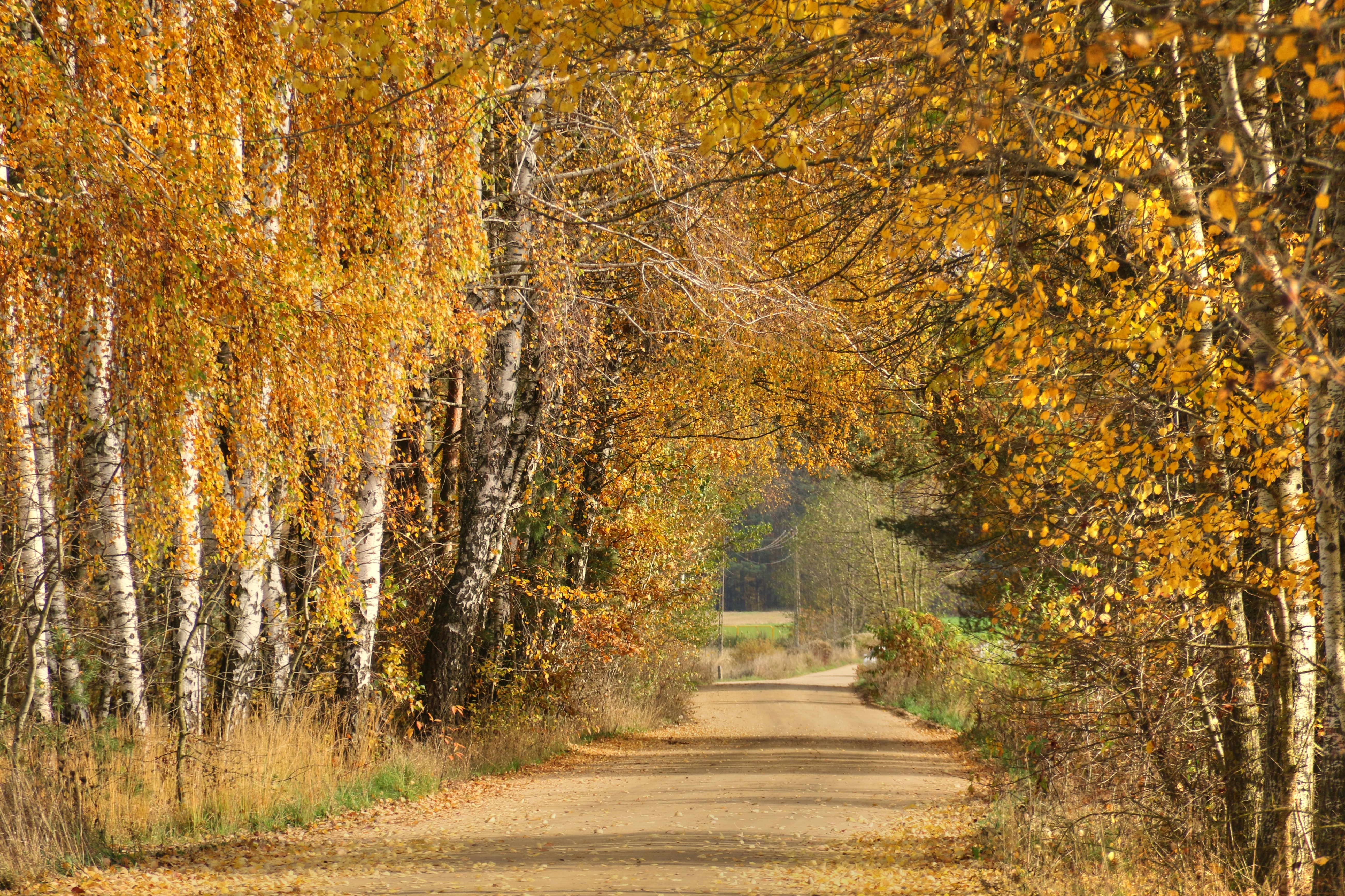 Photo by natkaszczerbatka