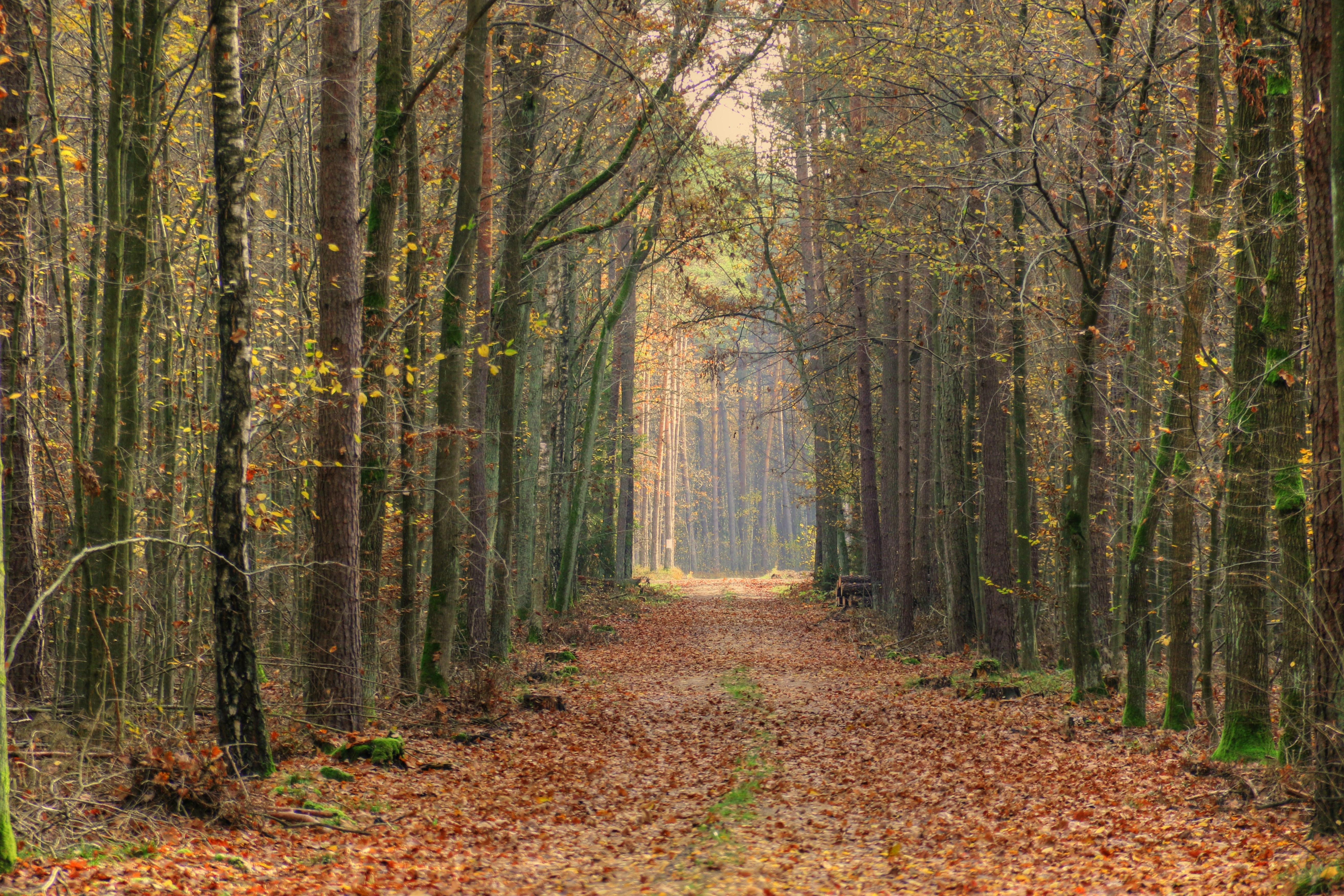 Photo by natkaszczerbatka