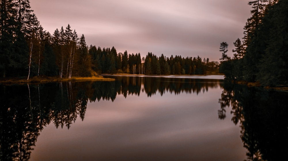 a lake surrounded by trees