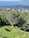 A serene landscape featuring a lush green park with winding paths and large trees in the foreground. In the background, a cityscape with various buildings stands against a backdrop of a vast body of water and distant islands under a partly cloudy sky.