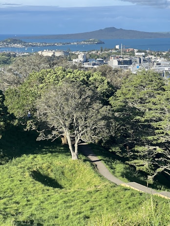A serene landscape featuring a lush green park with people engaging in community activities, symbolizing growth and connection.