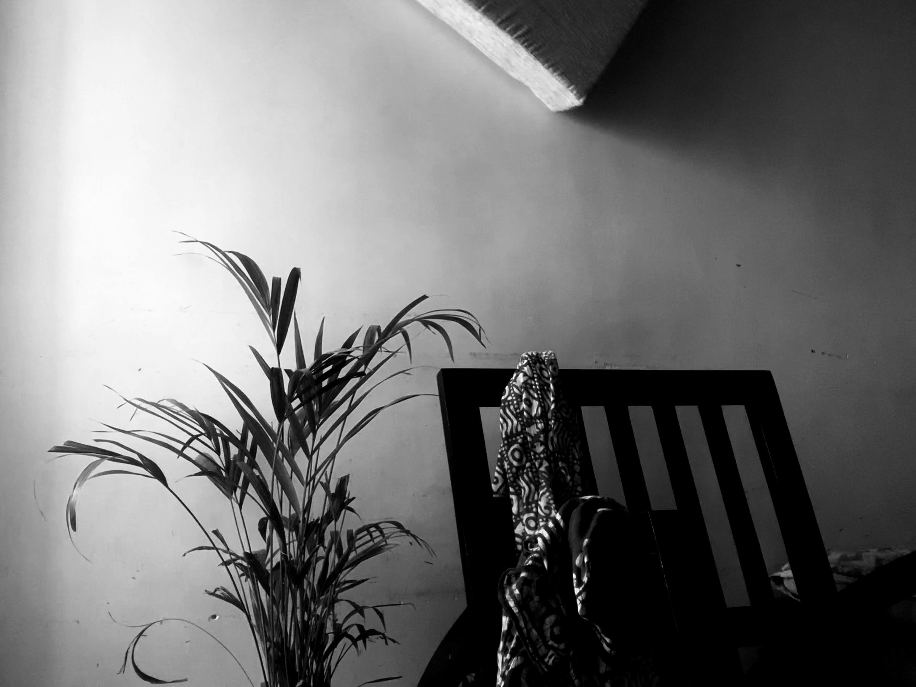 Photo by akshar_dave