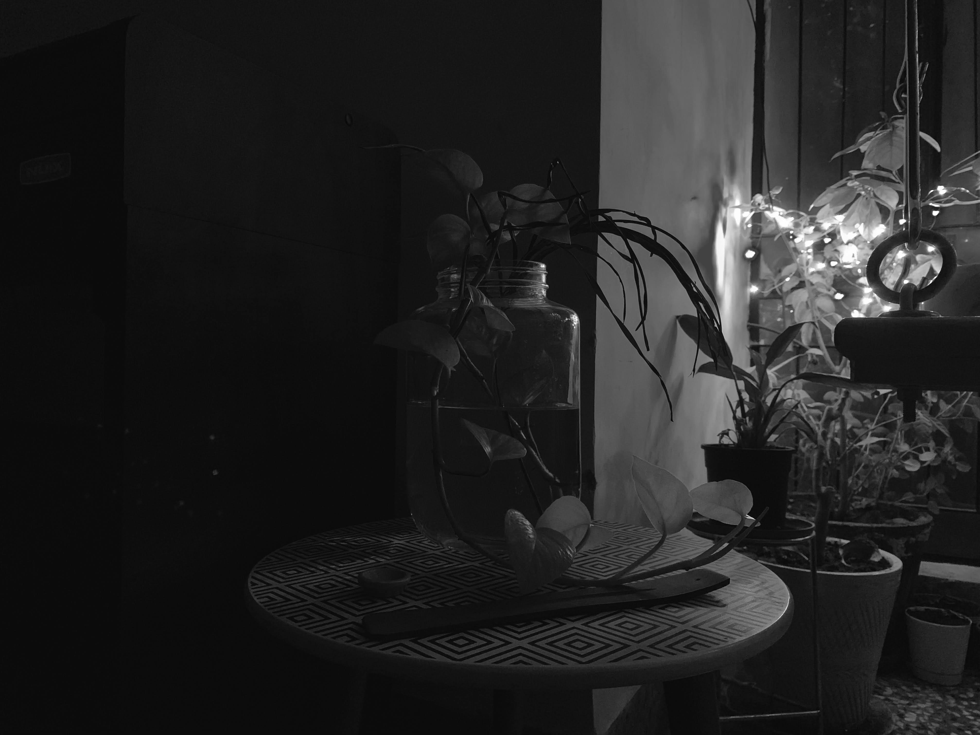 Photo by akshar_dave