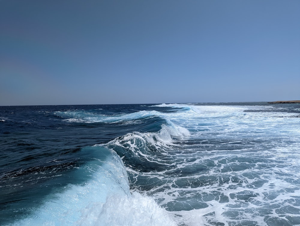 waves on a body of water