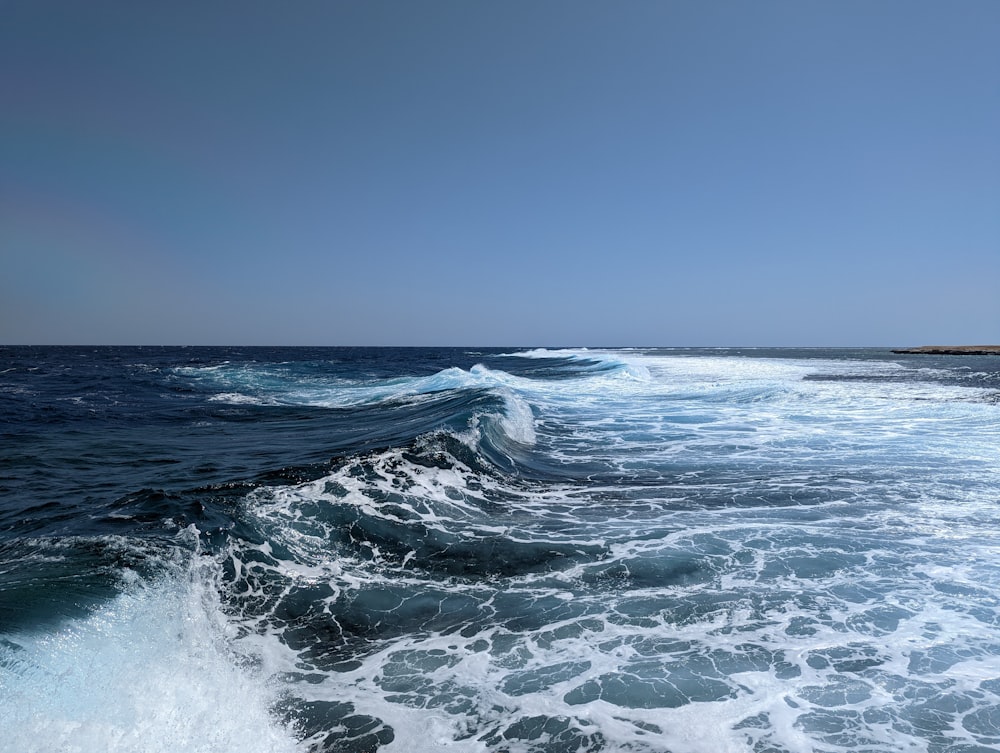 waves on a body of water