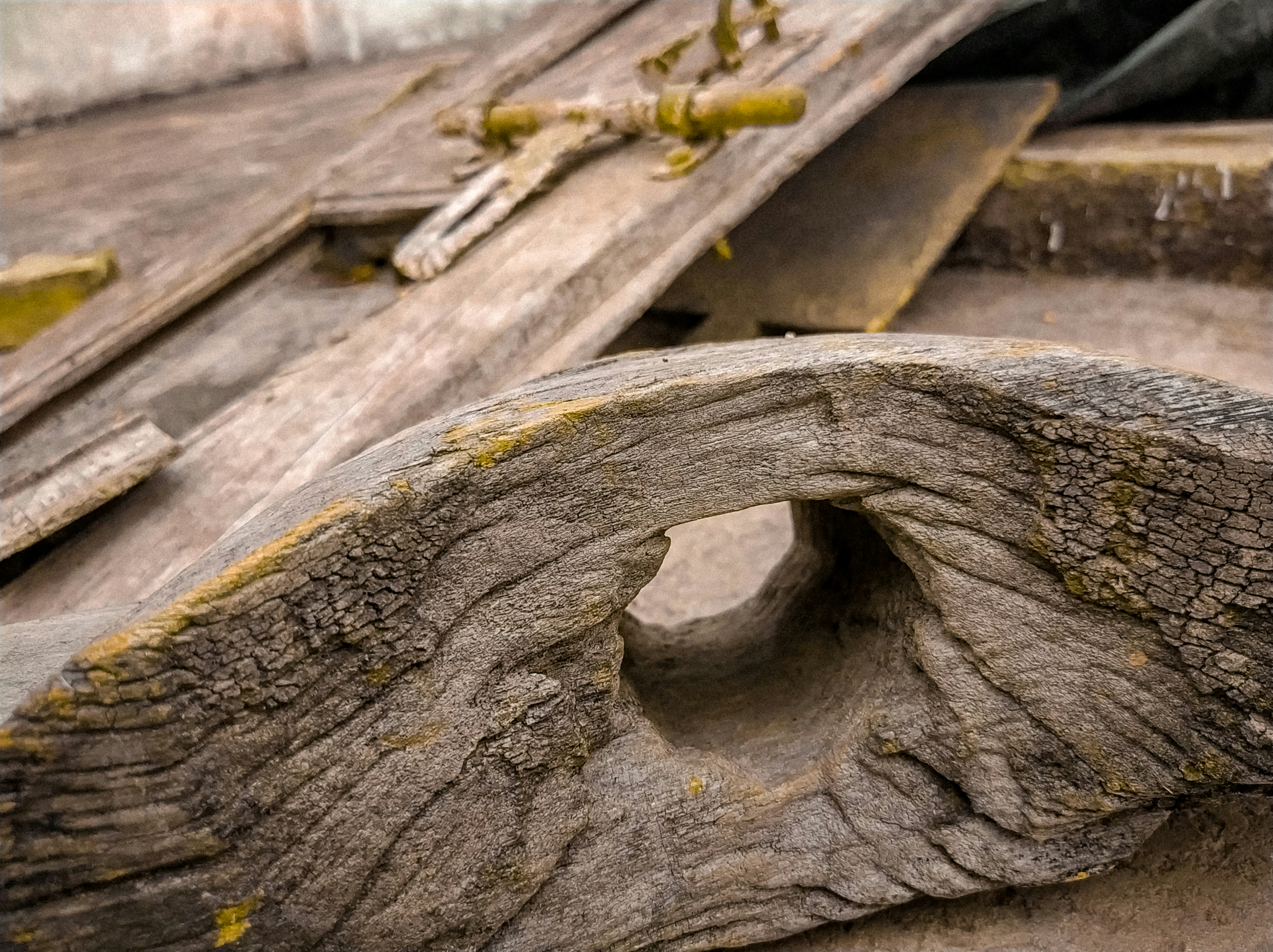 a close up of a tree trunk