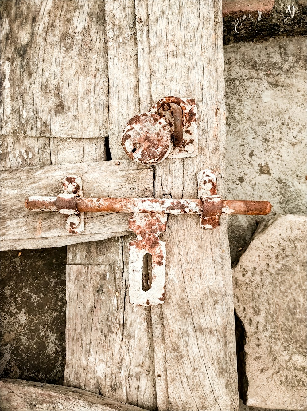 a wooden door with a couple of dogs on it