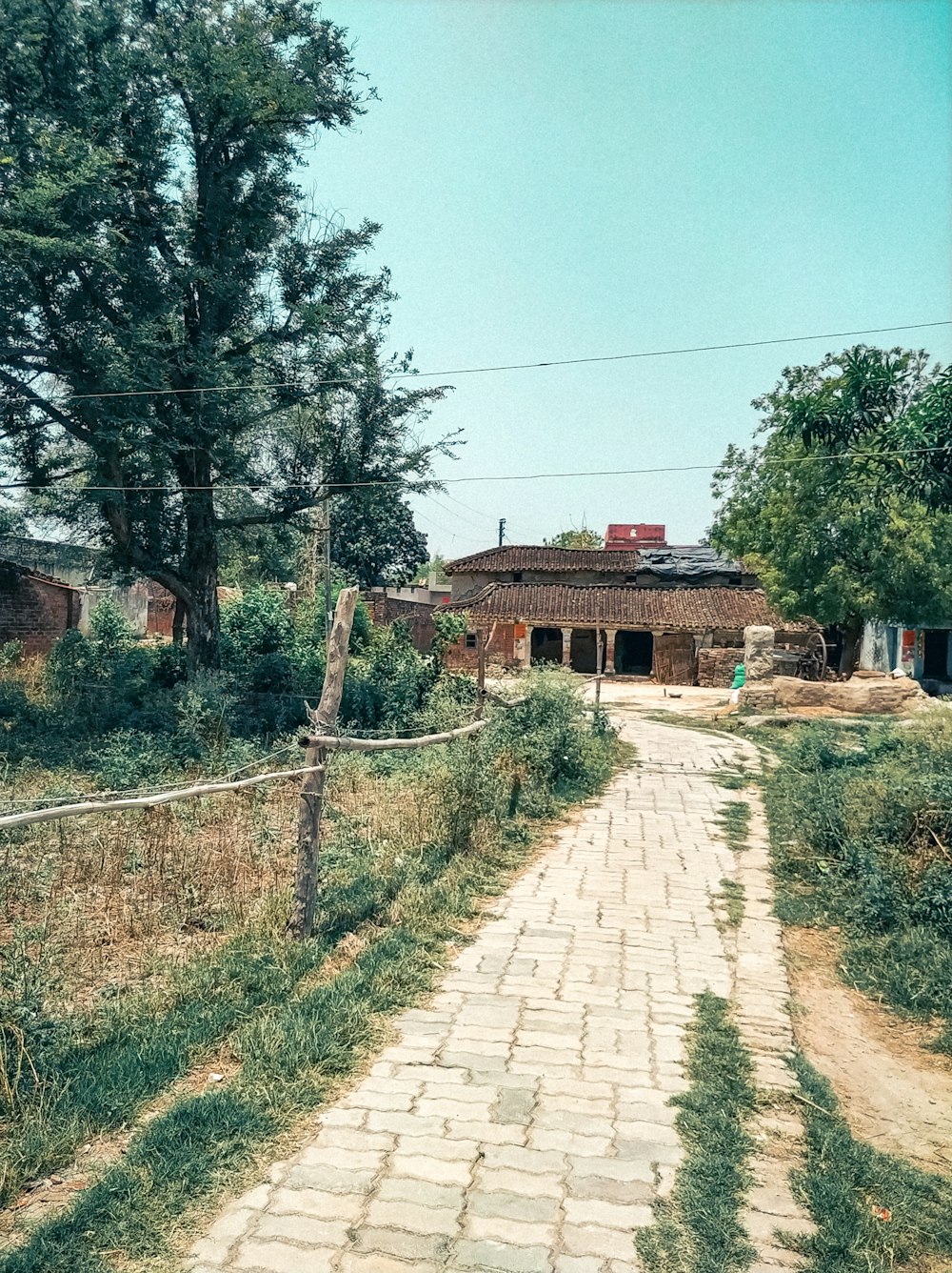 a brick path leading to a house