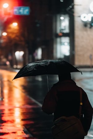 Person carrying an umbrella in the rain