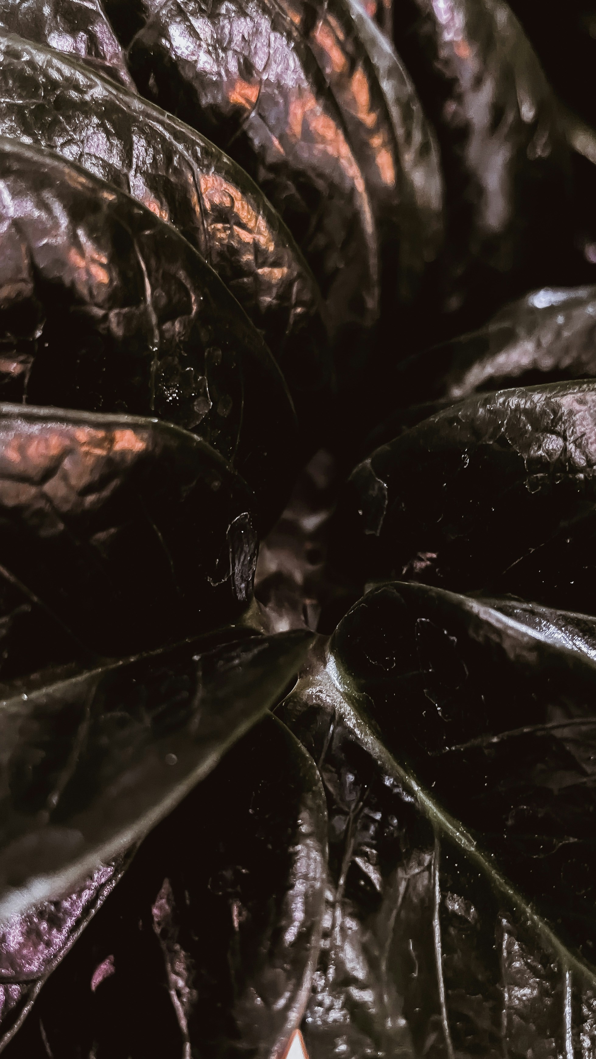 Photo by filipkrsmanovich