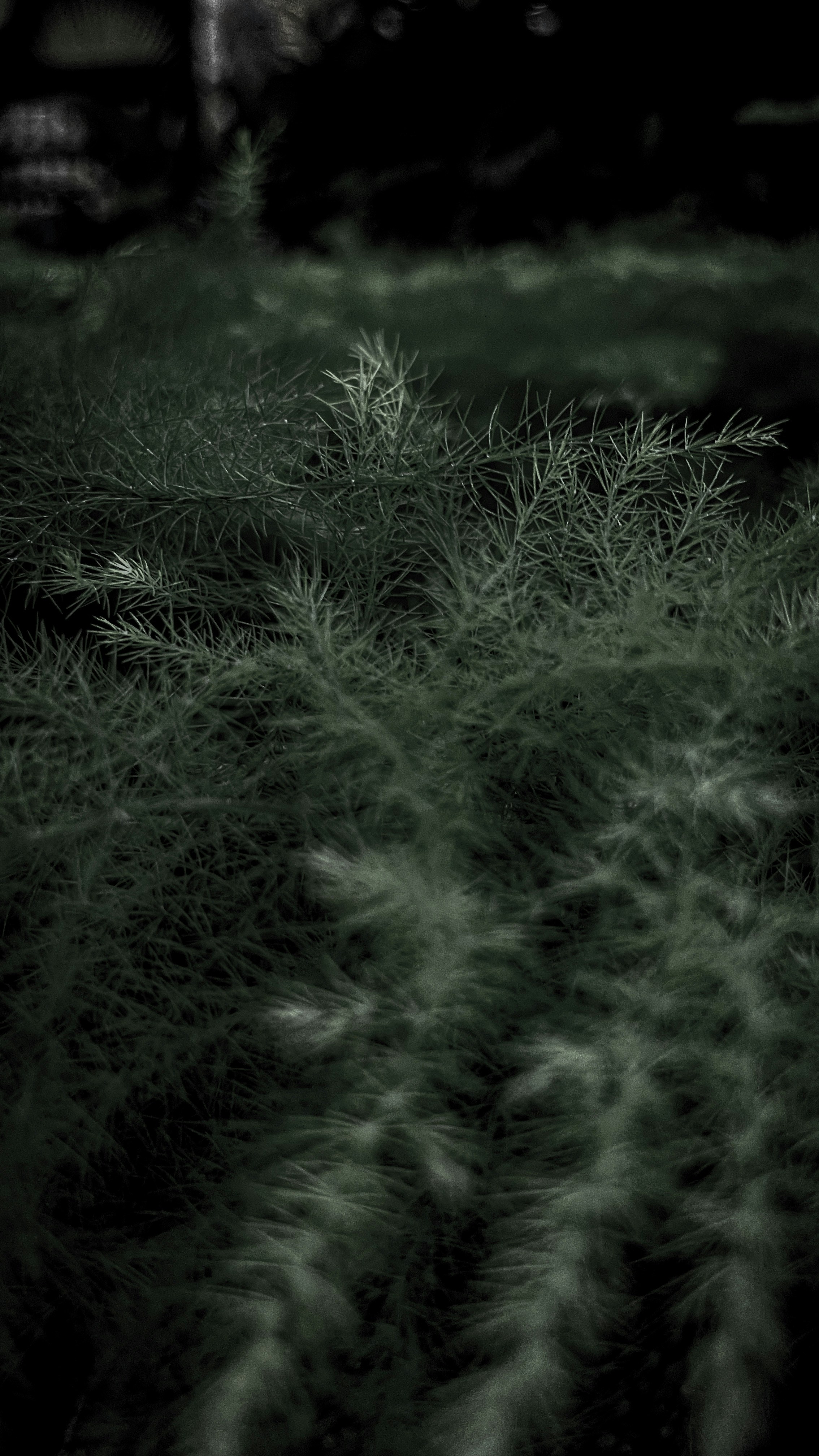 Photo by filipkrsmanovich