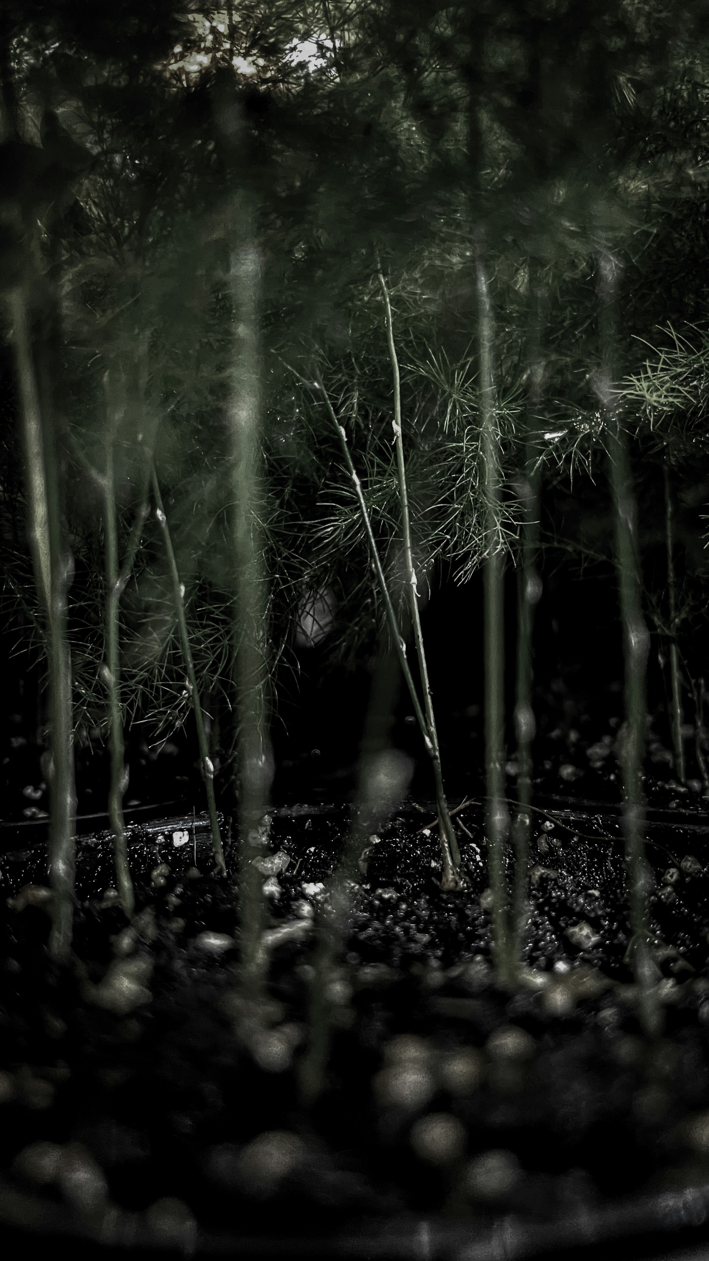 Photo by filipkrsmanovich