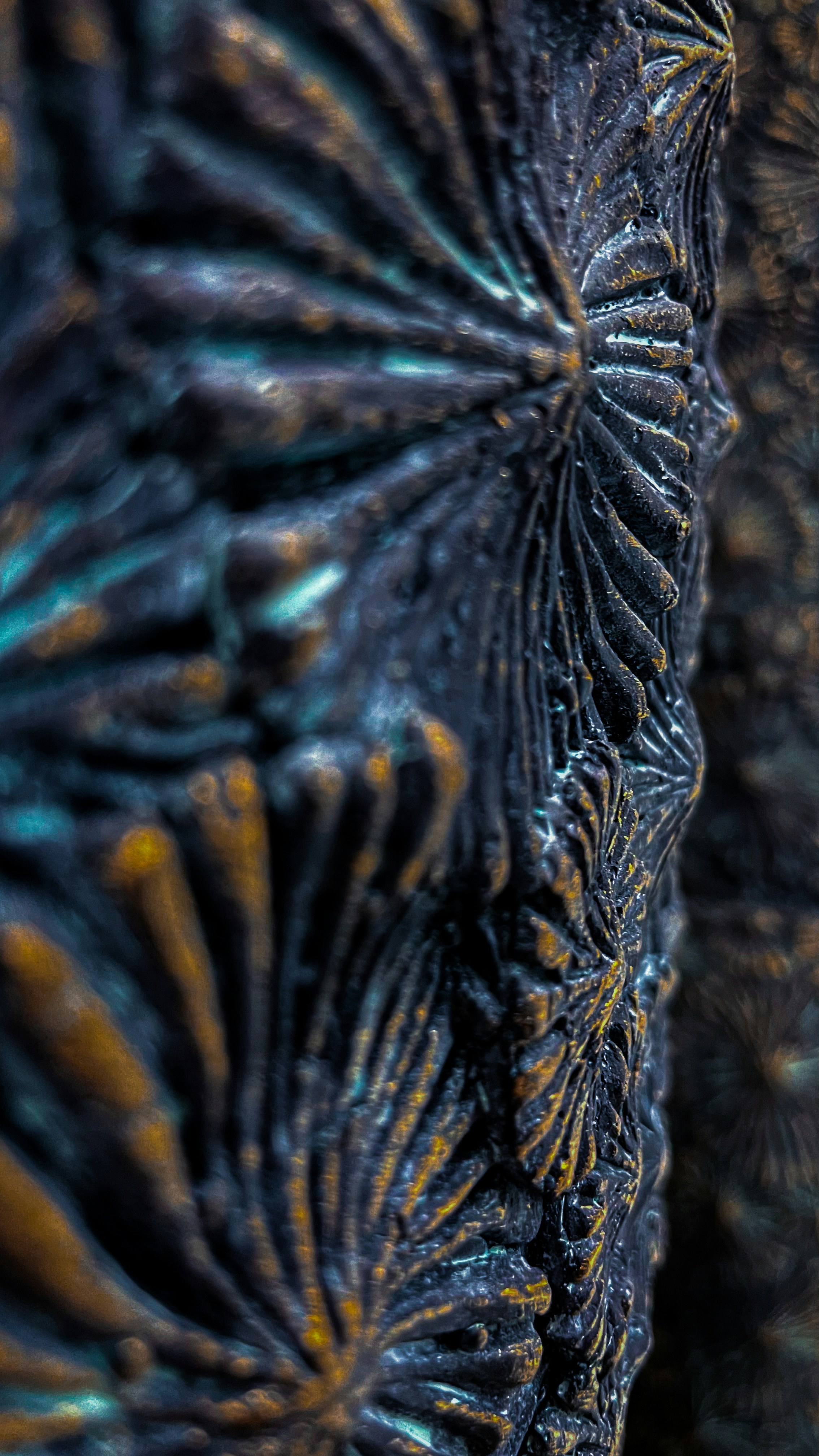 Photo by filipkrsmanovich