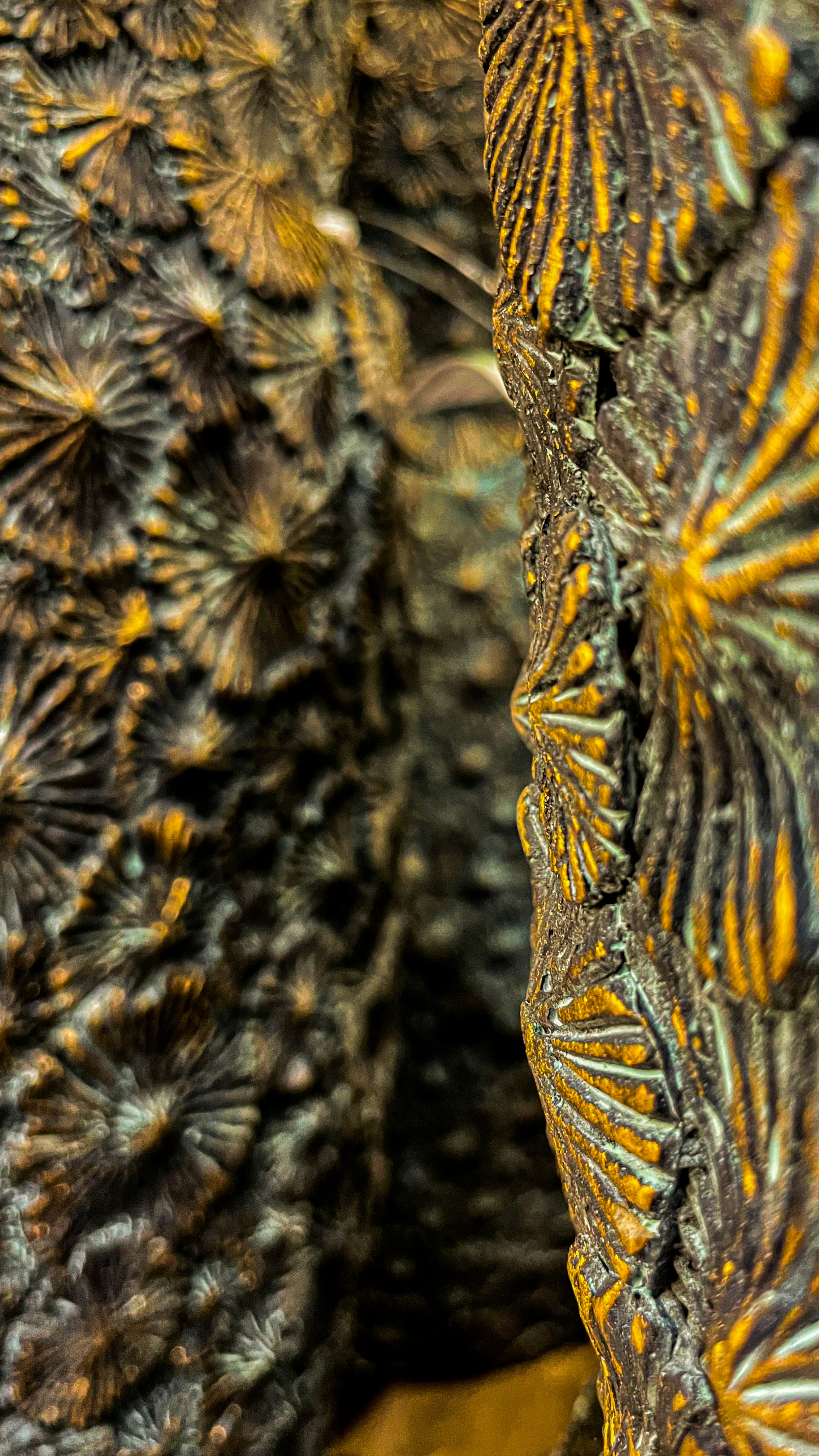 Photo by filipkrsmanovich