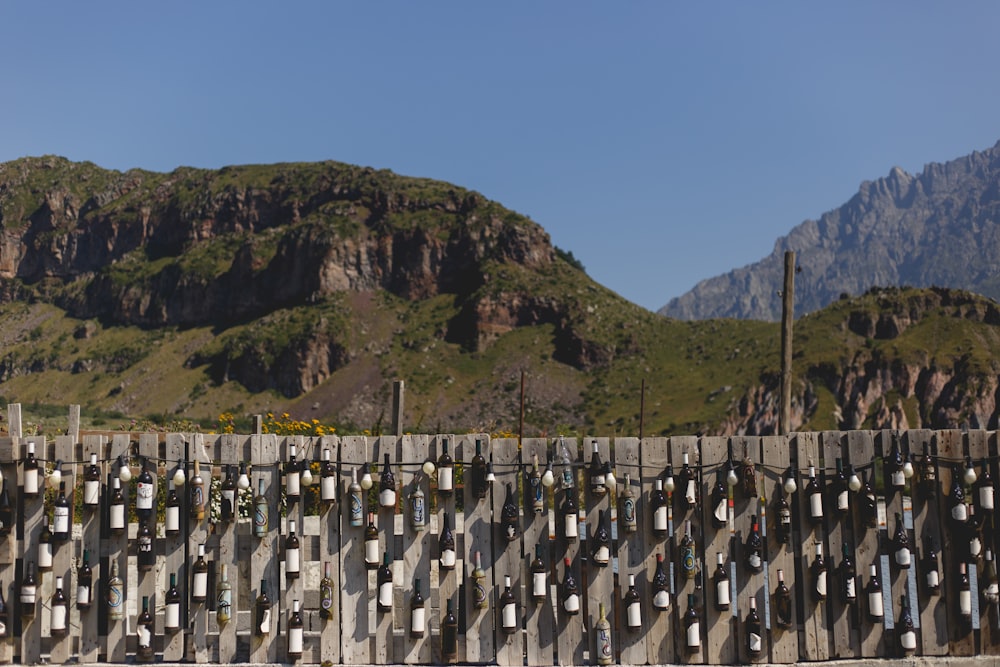 a large group of metal fences in front of a mountain