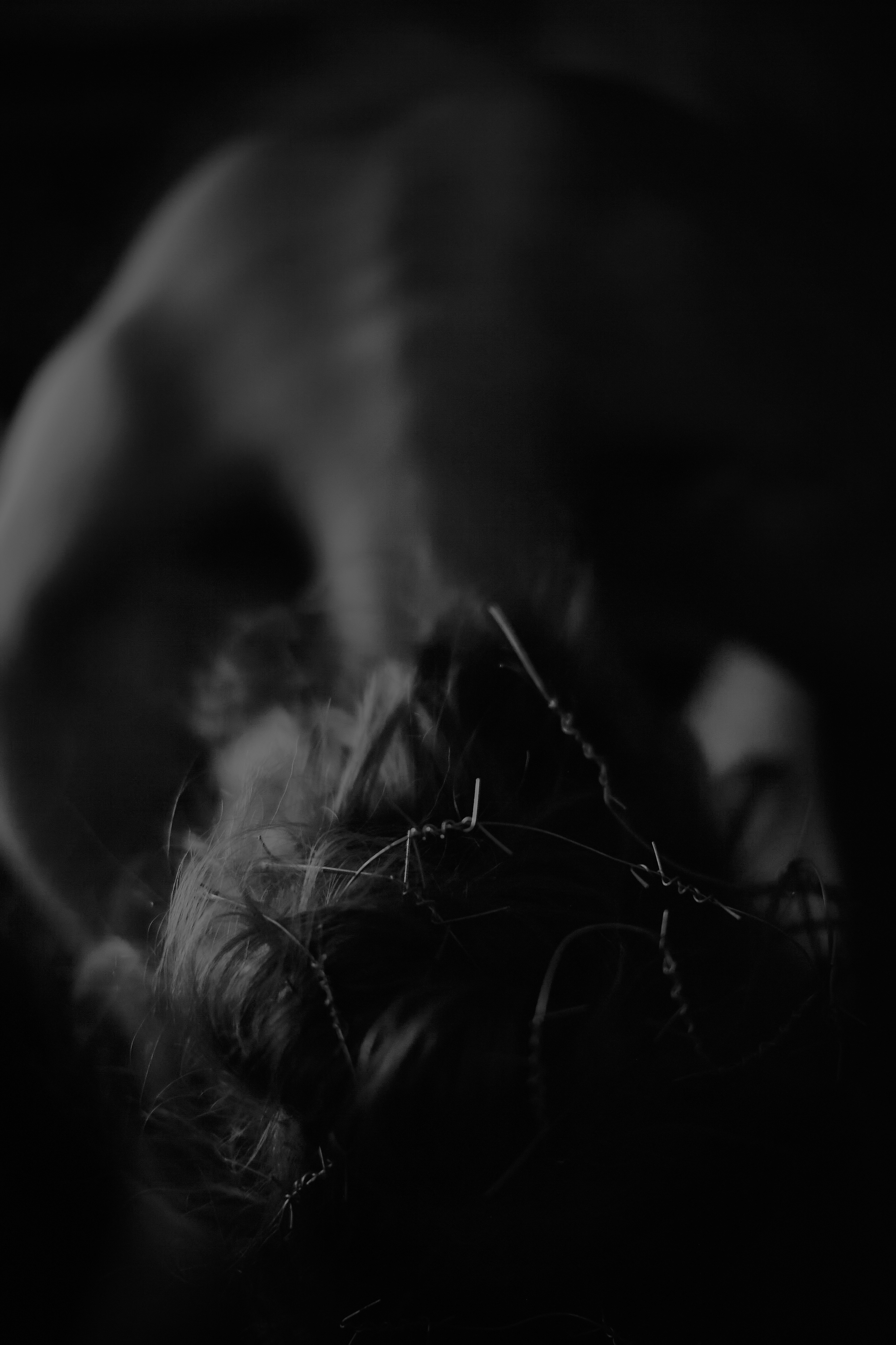 Photo by viktoriaaaae