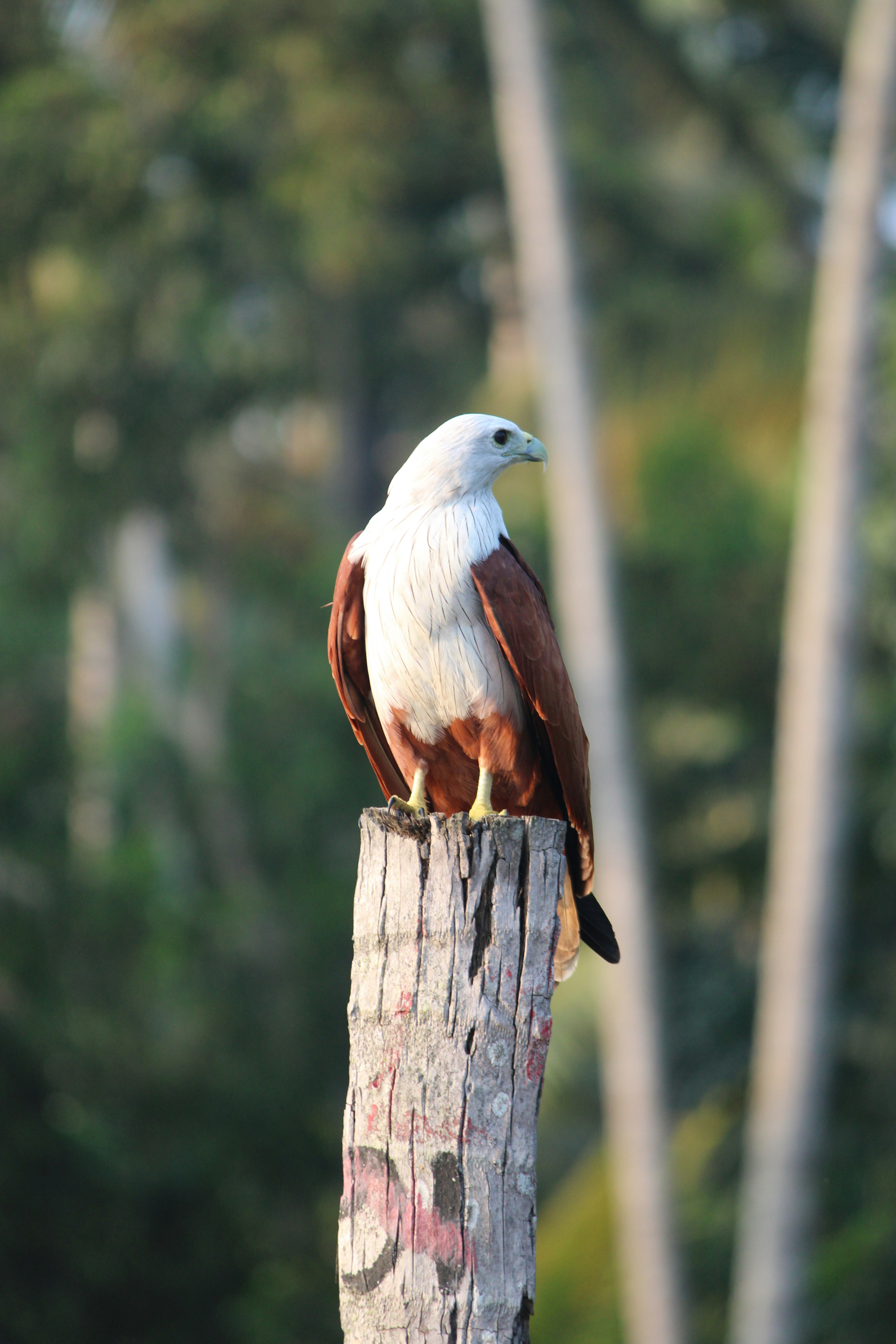 Photo by deep_erudite