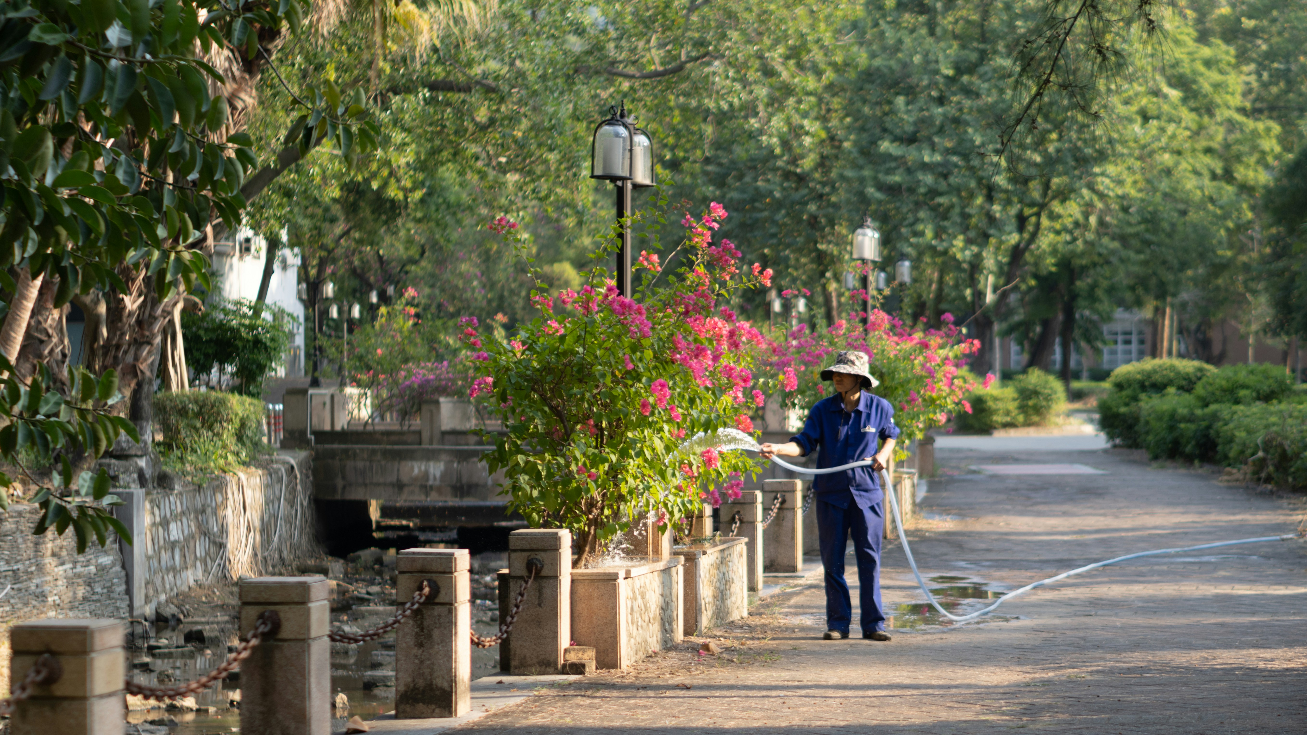 a person holding a large bouquet of flowers