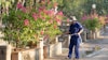 a police officer spraying flowers