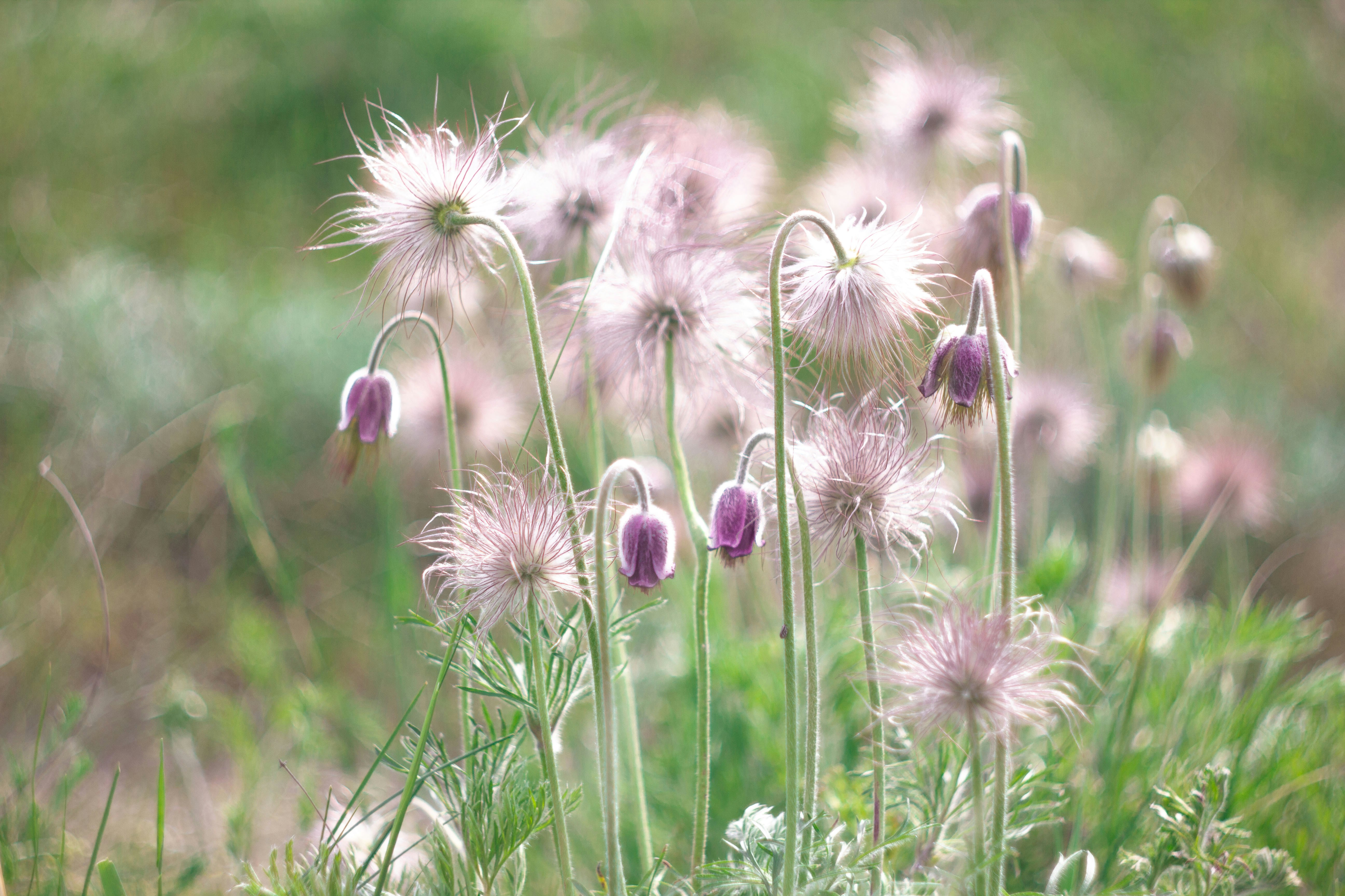 Photo by yanamoseiko