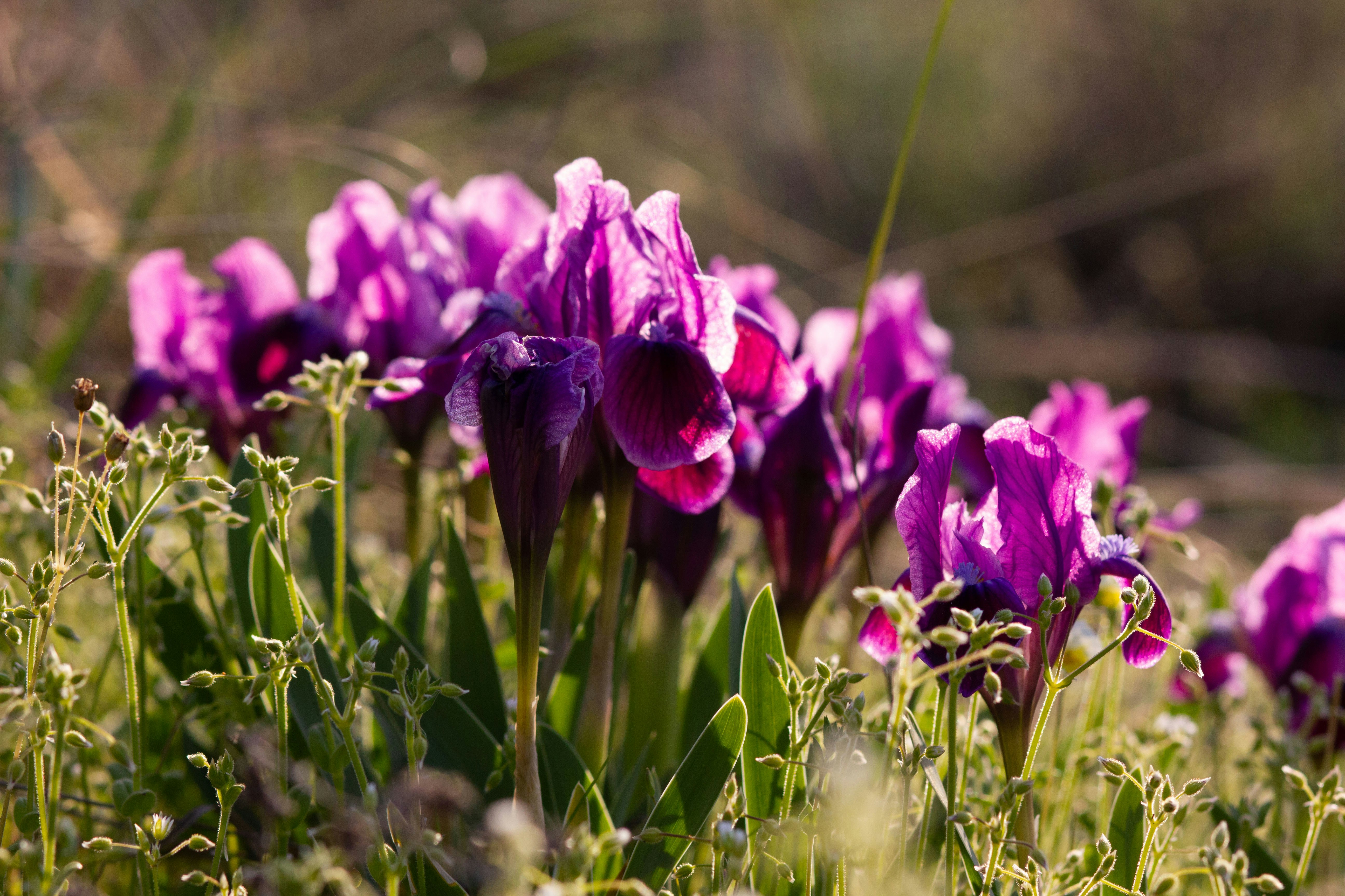 Photo by yanamoseiko