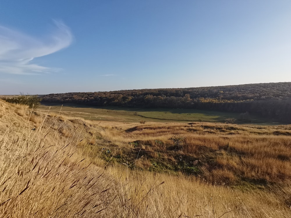 a grassy field with hills in the background