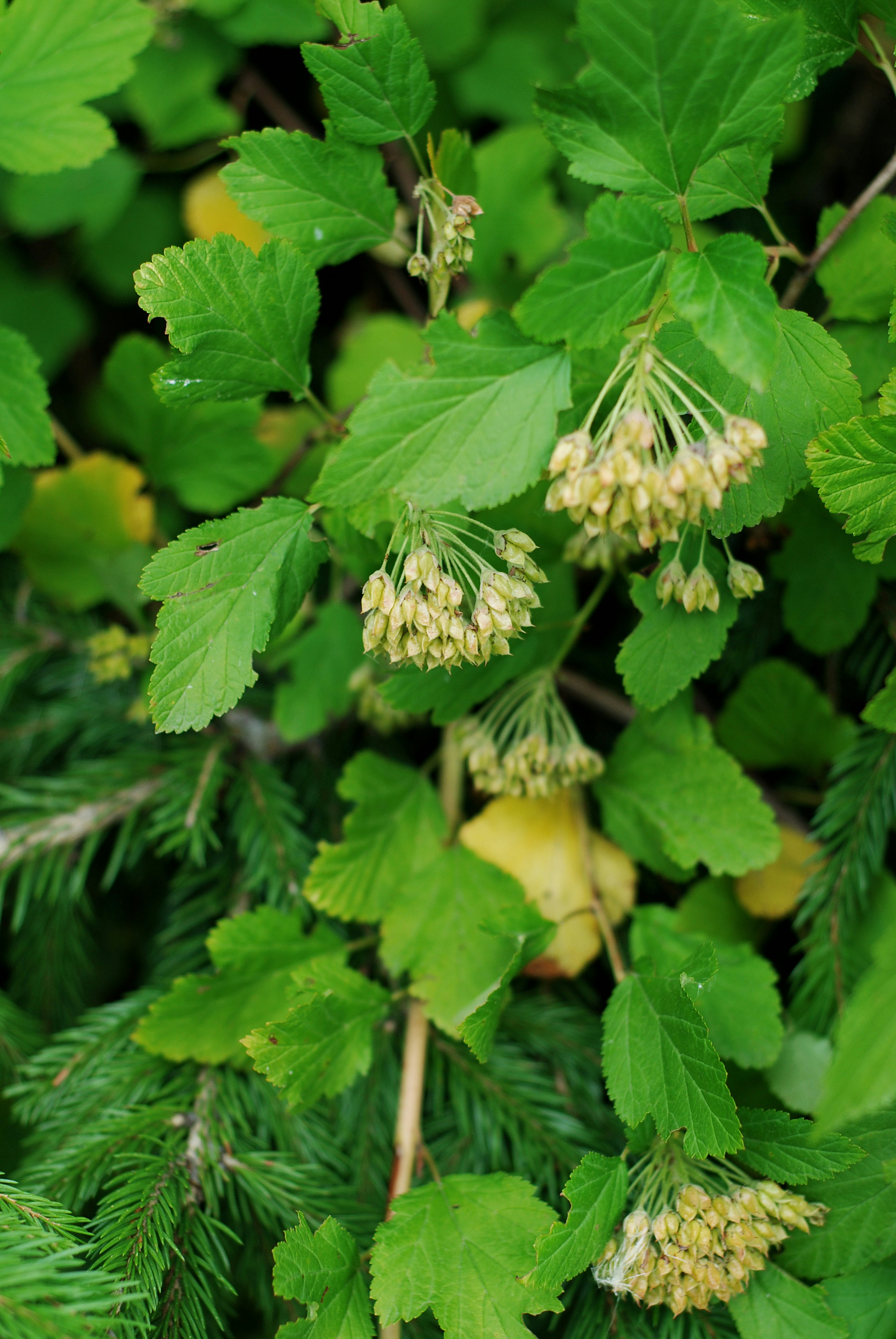 Photo by kovalskihelga