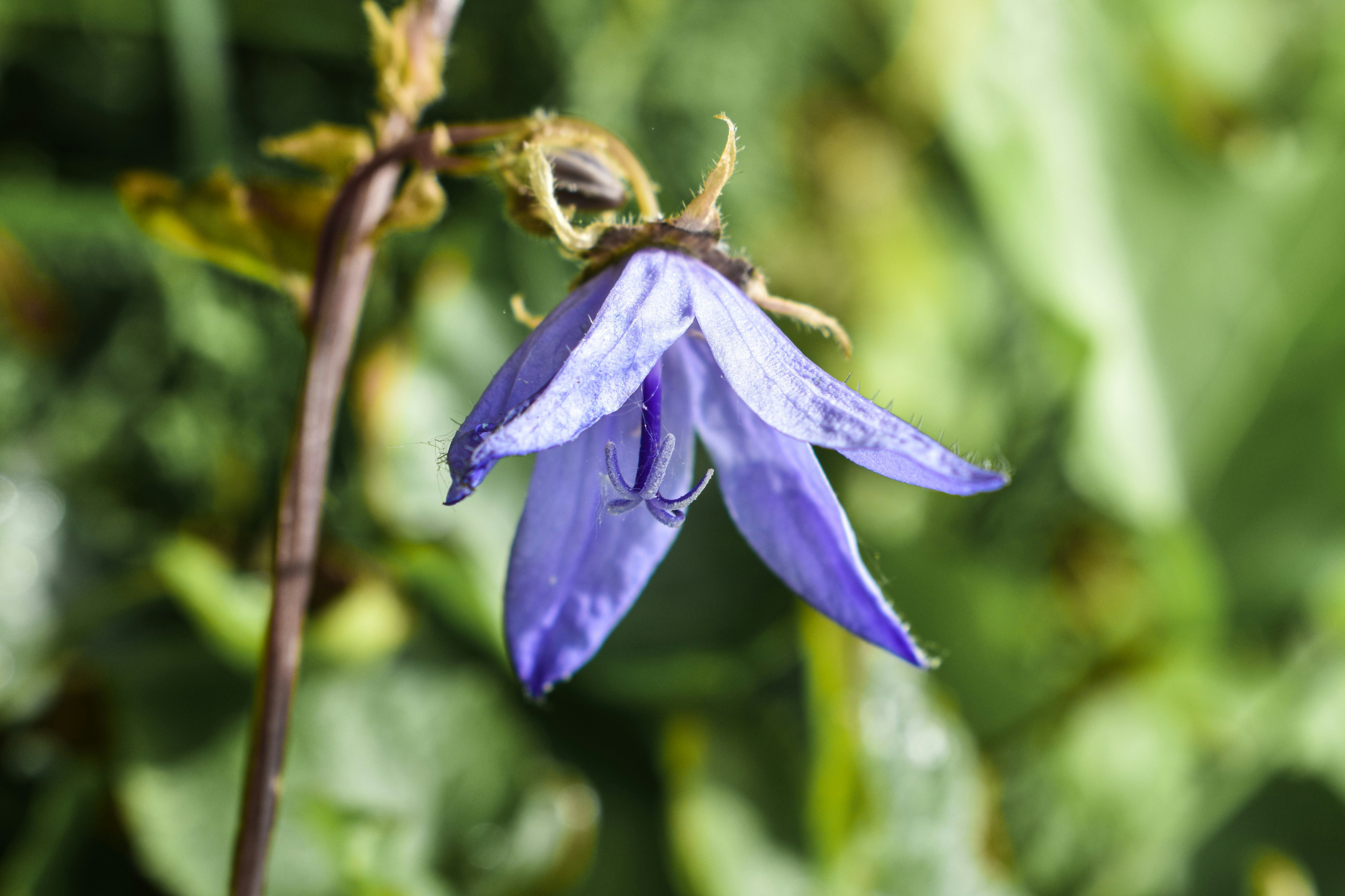 Photo by gracephotography