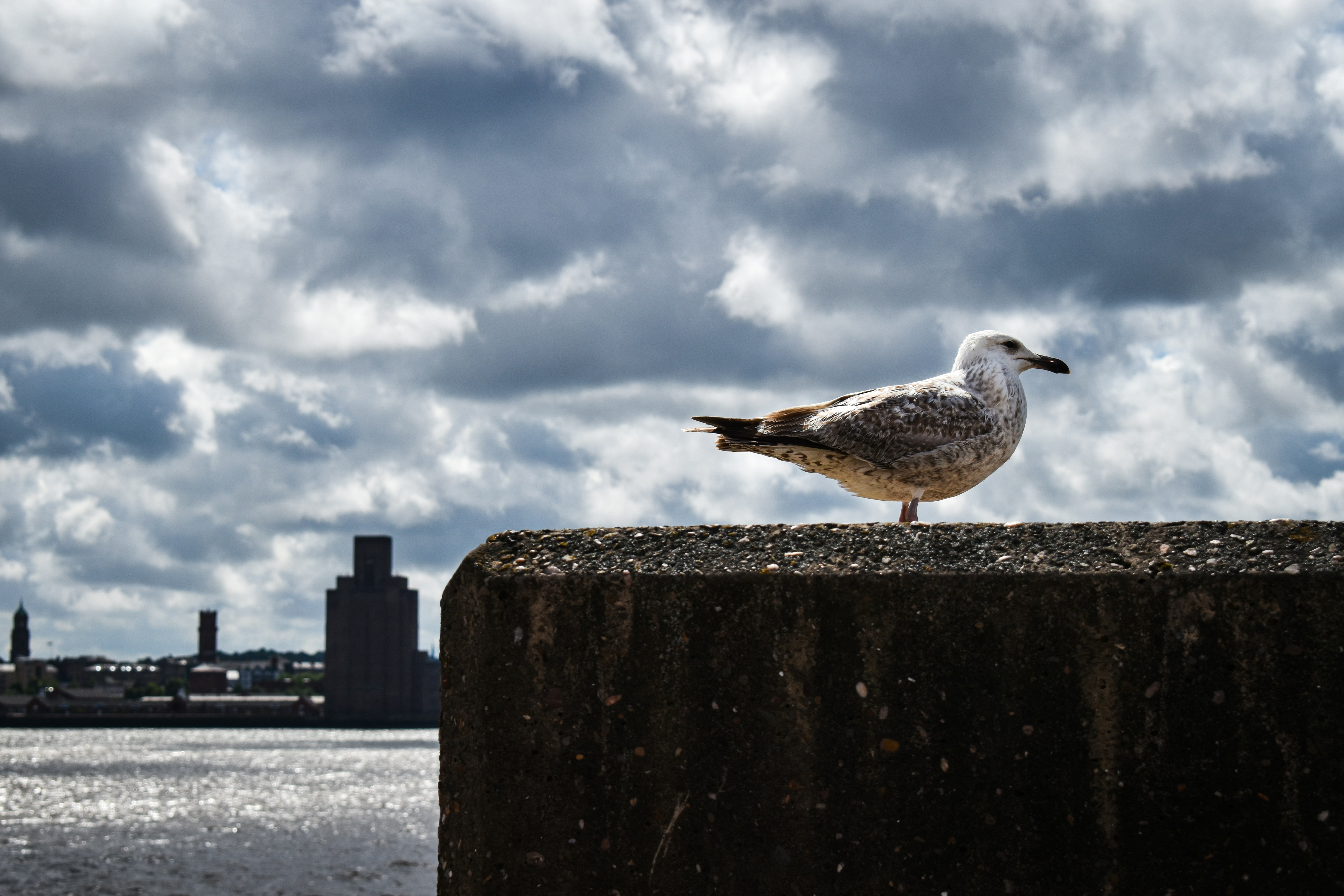 Photo by gracephotography