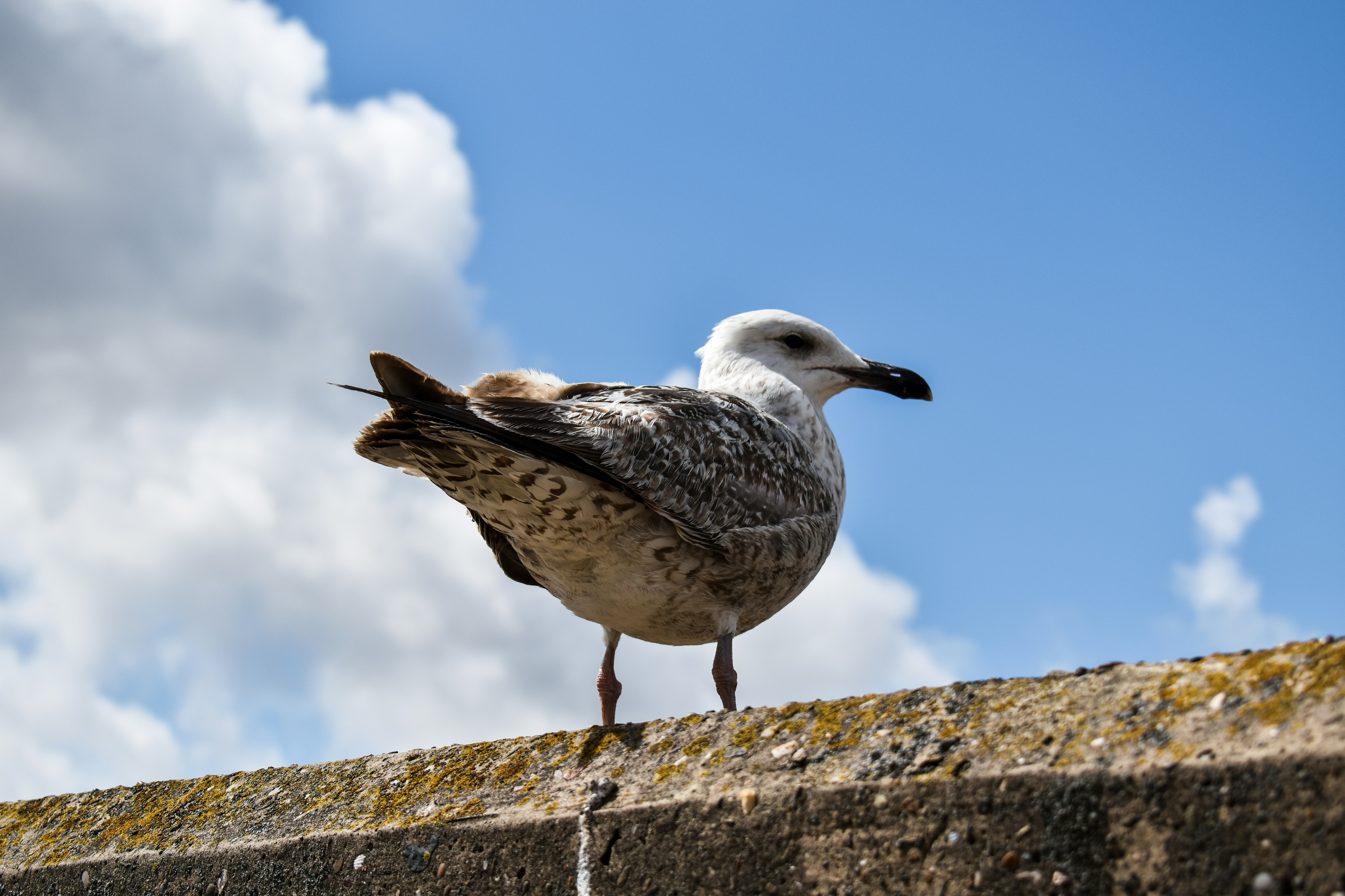 Photo by gracephotography