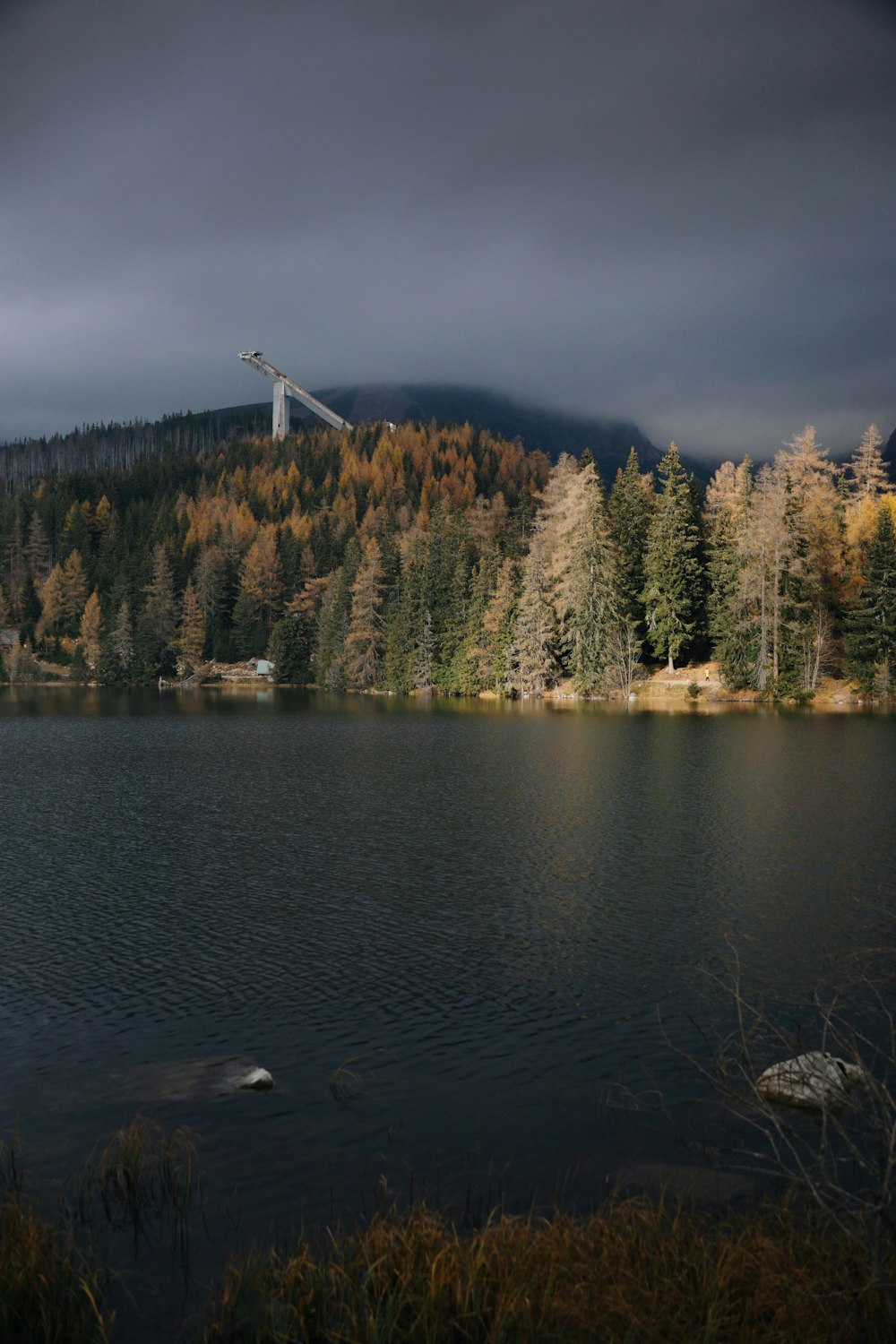 um lago com árvores e um guindaste