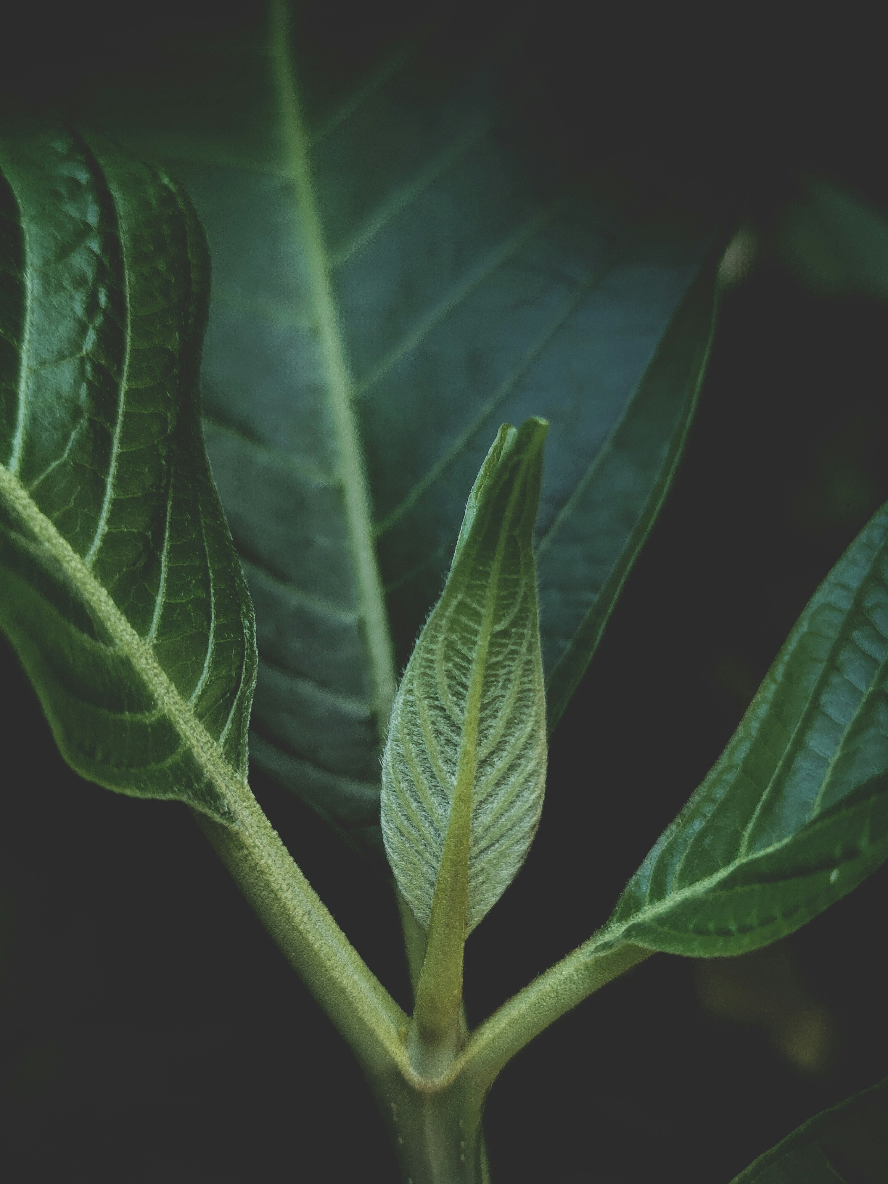 Photo by jacquesfunke