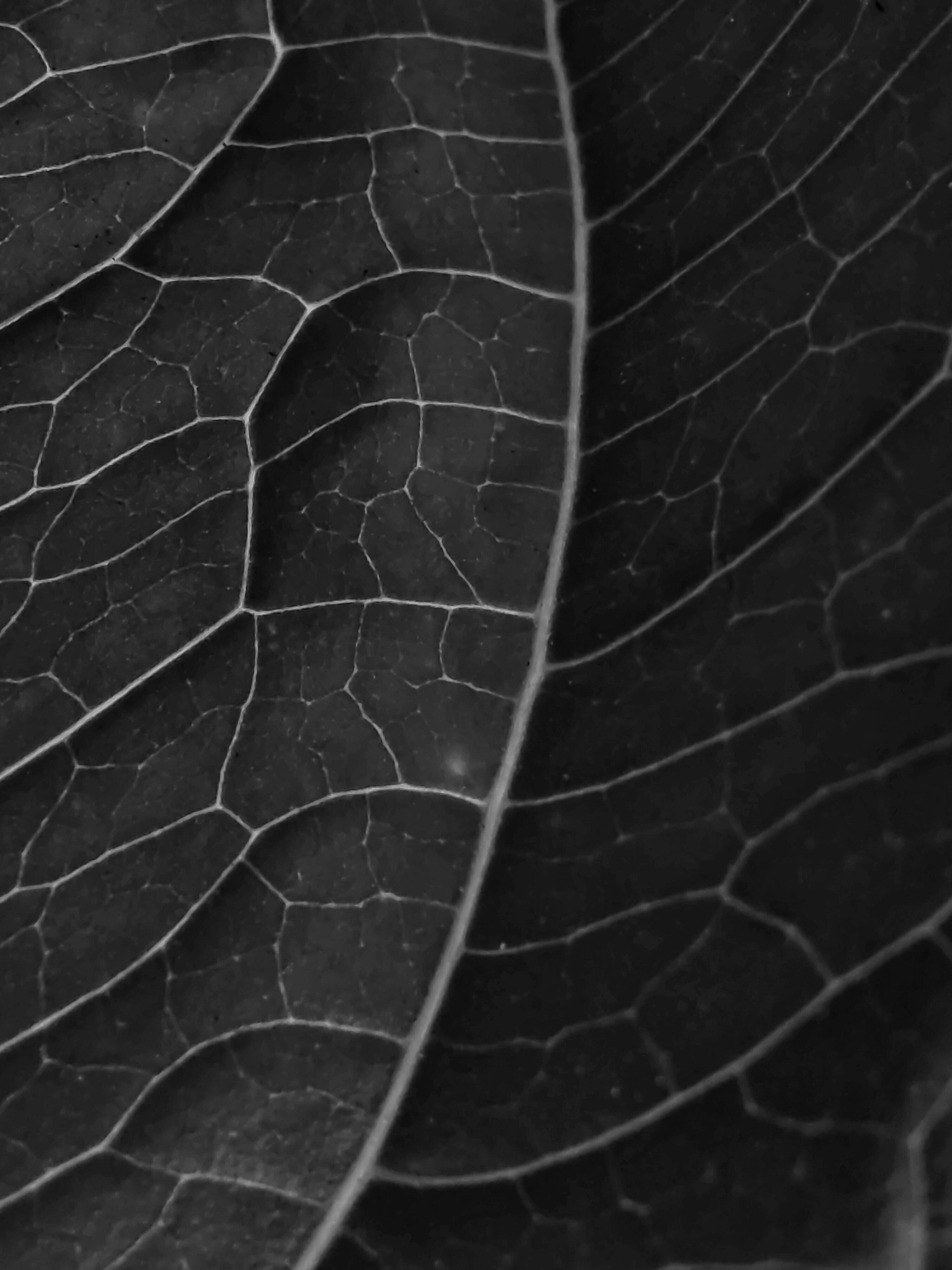 Photo by jacquesfunke