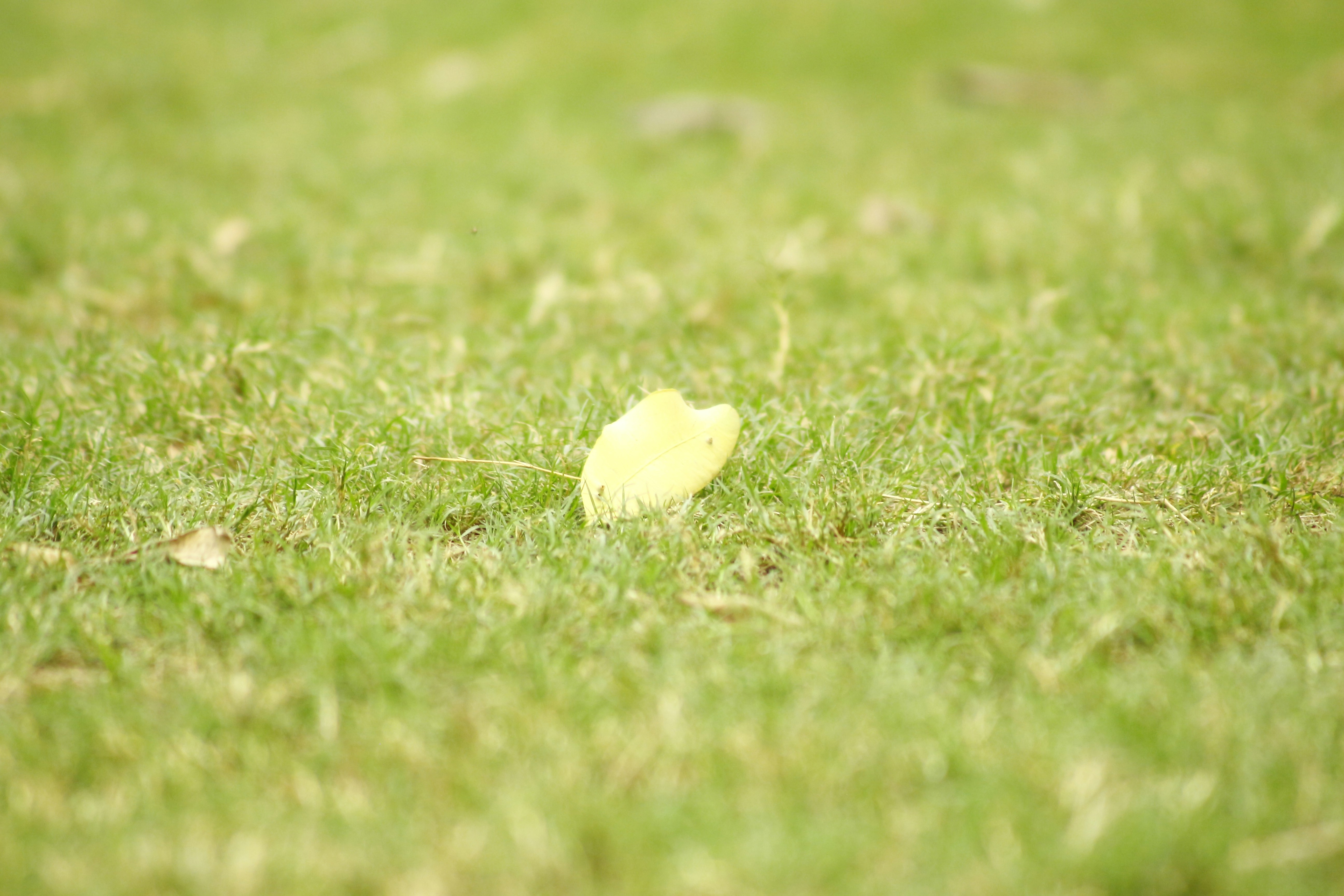 Master the Middle Ball Strategy in Pickleball Doubles