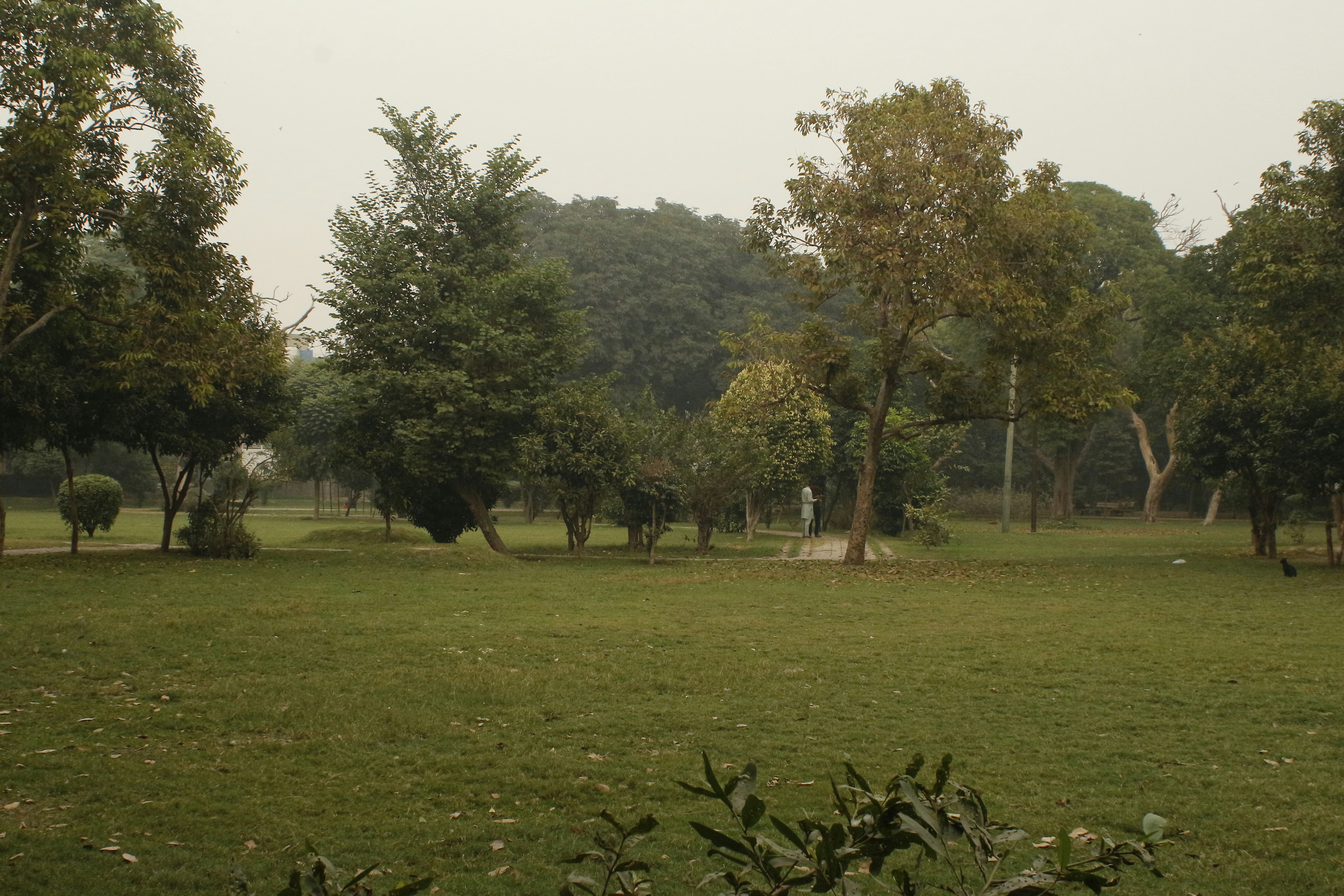 Sargent Park