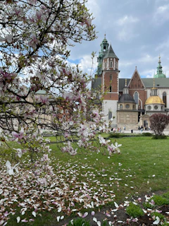 A charming historic national landmark framed by vibrant blooming flowers.