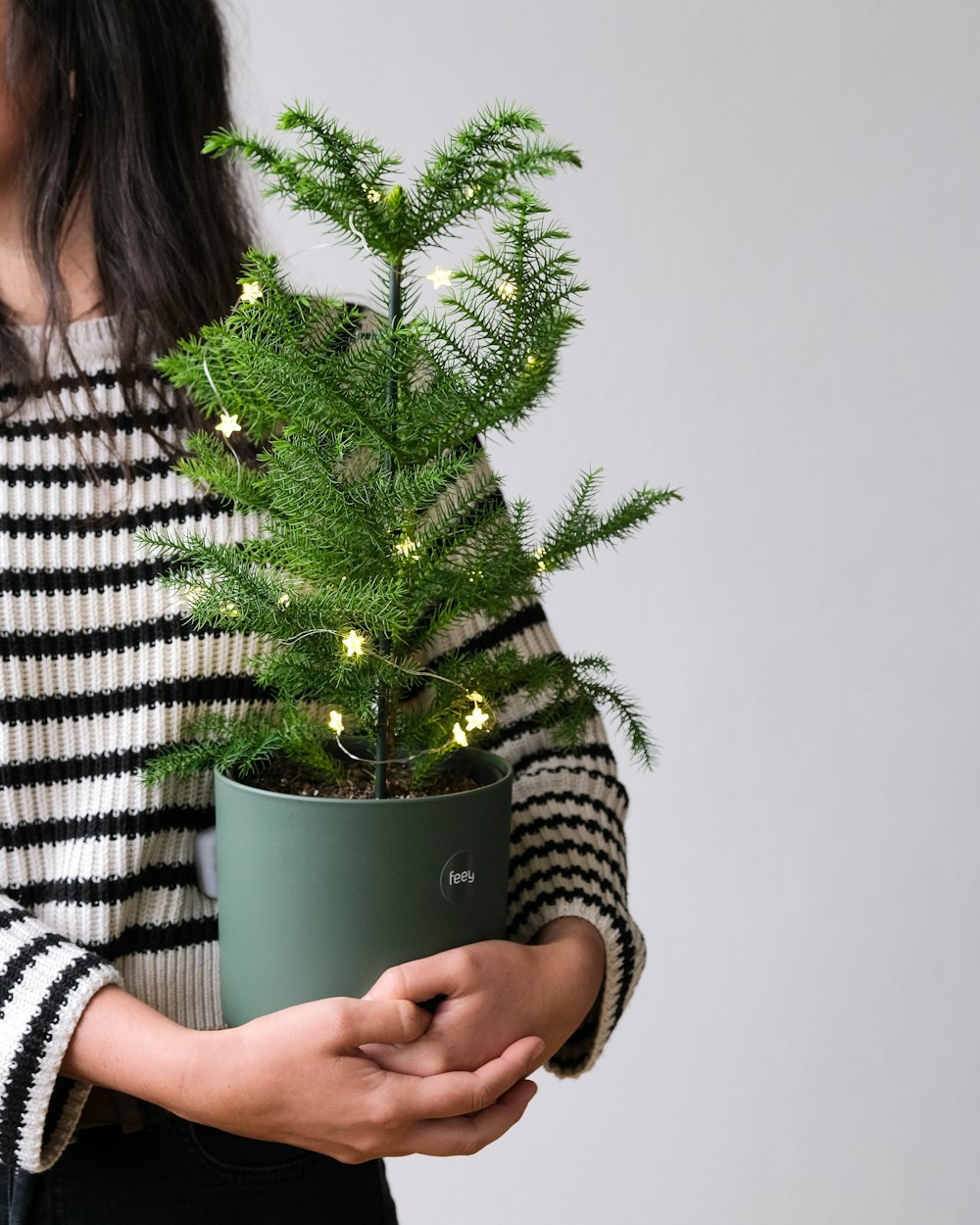 a person holding a potted tree