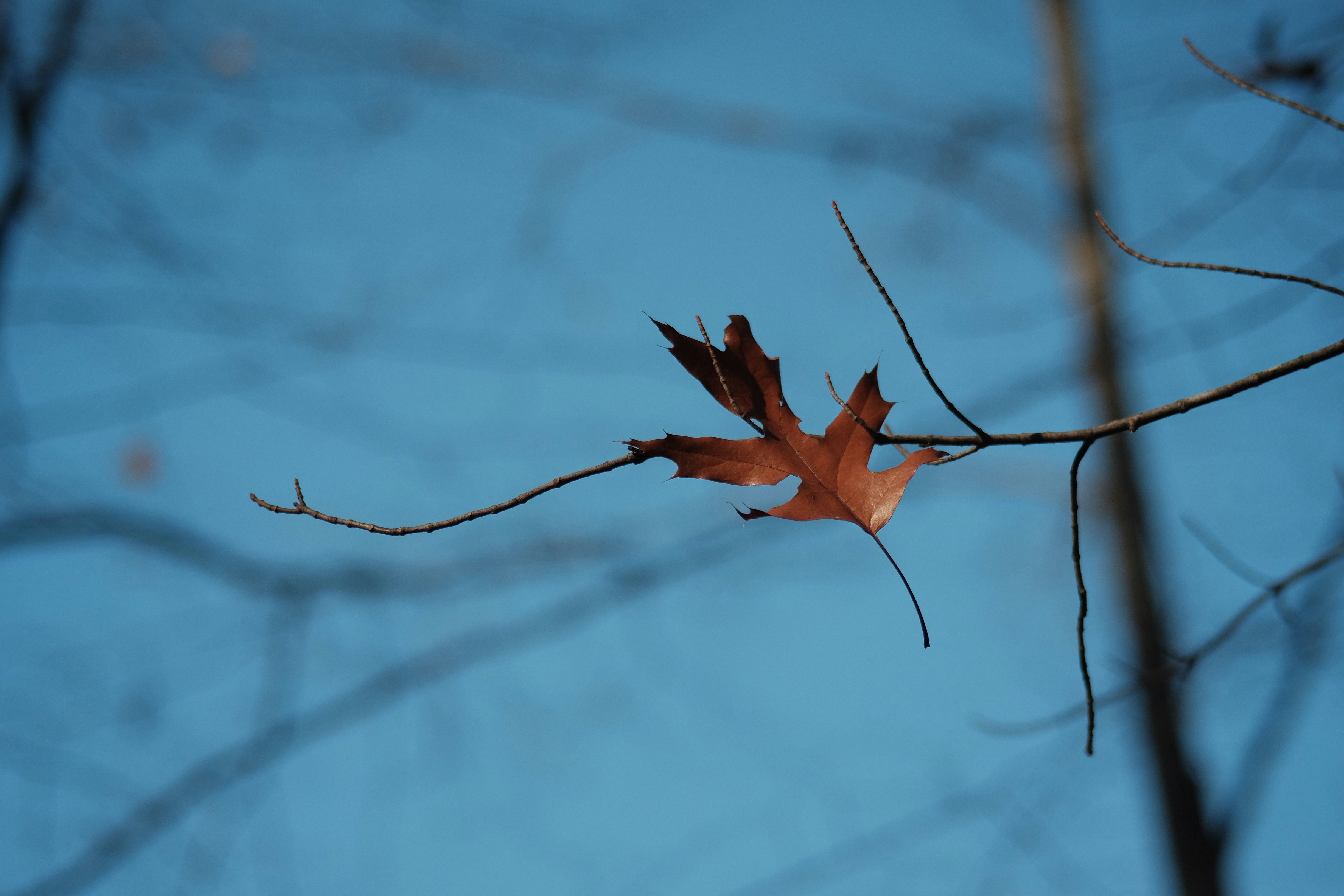 Photo by andreas_qie