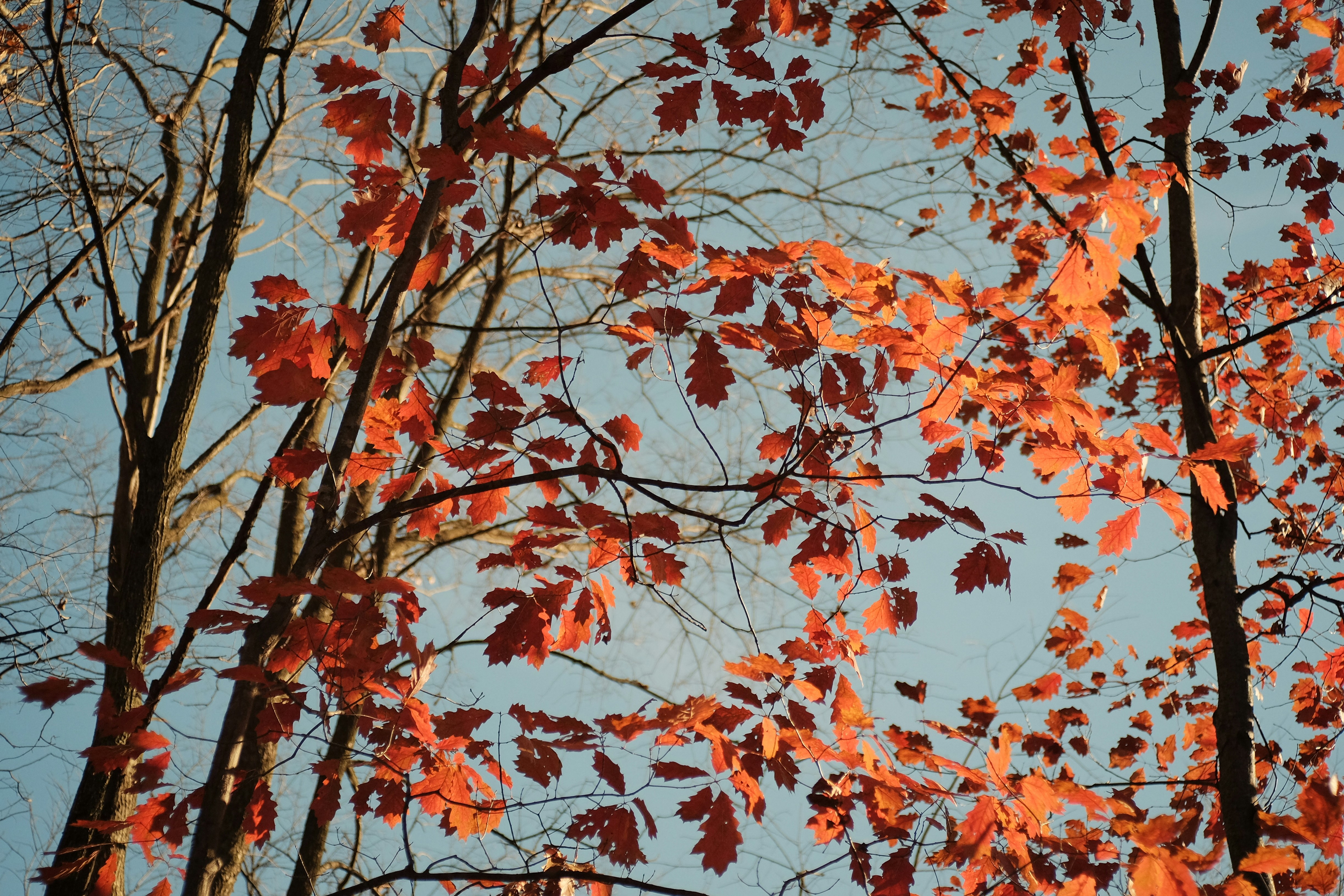 Photo by andreas_qie